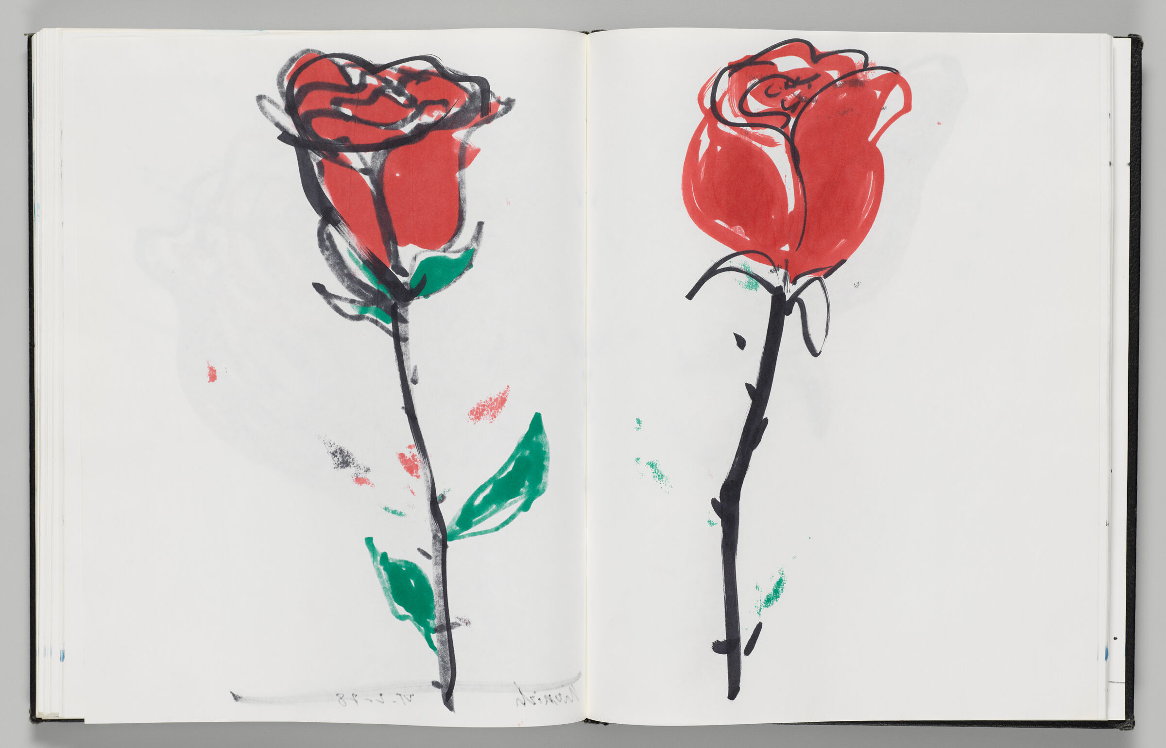 Untitled (Bleed-Through Of Previous Page, Left Page); Untitled (Red Rose, Right Page)