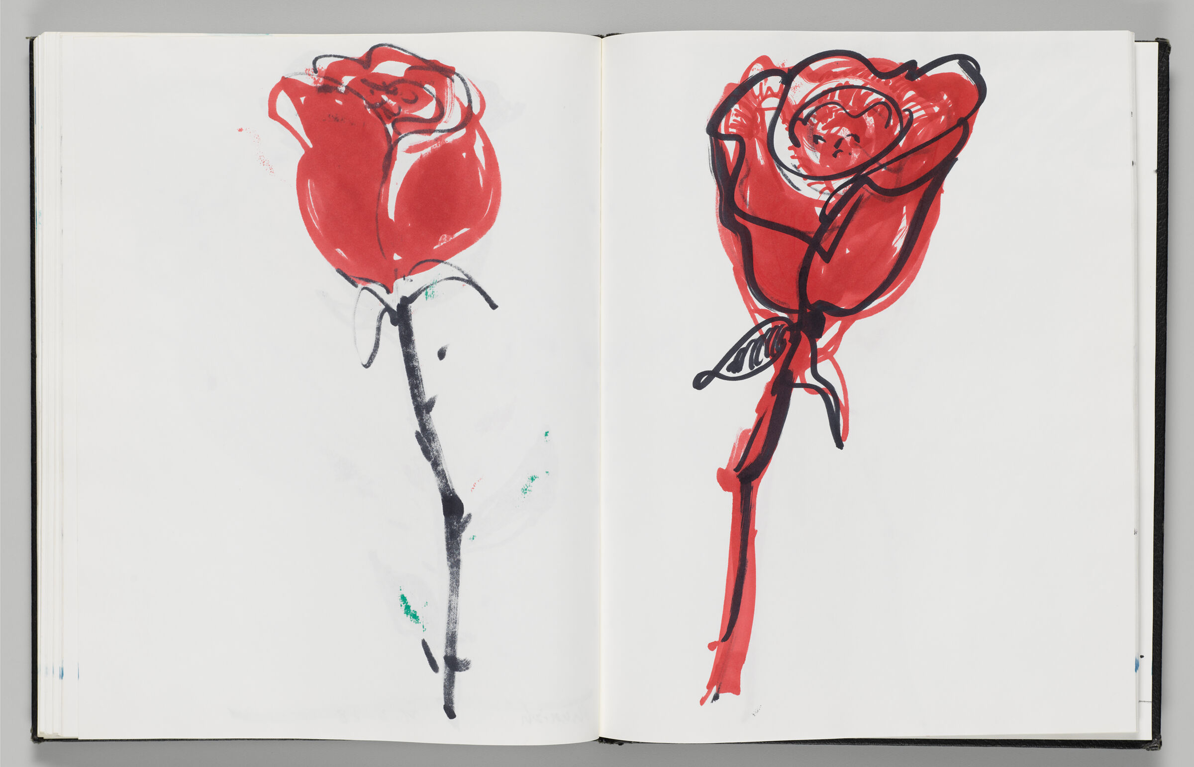 Untitled (Bleed-Through Of Previous Page, Left Page); Untitled (Red Rose, Right Page)