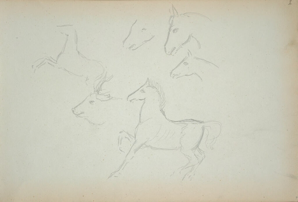 Sketches Of Horses