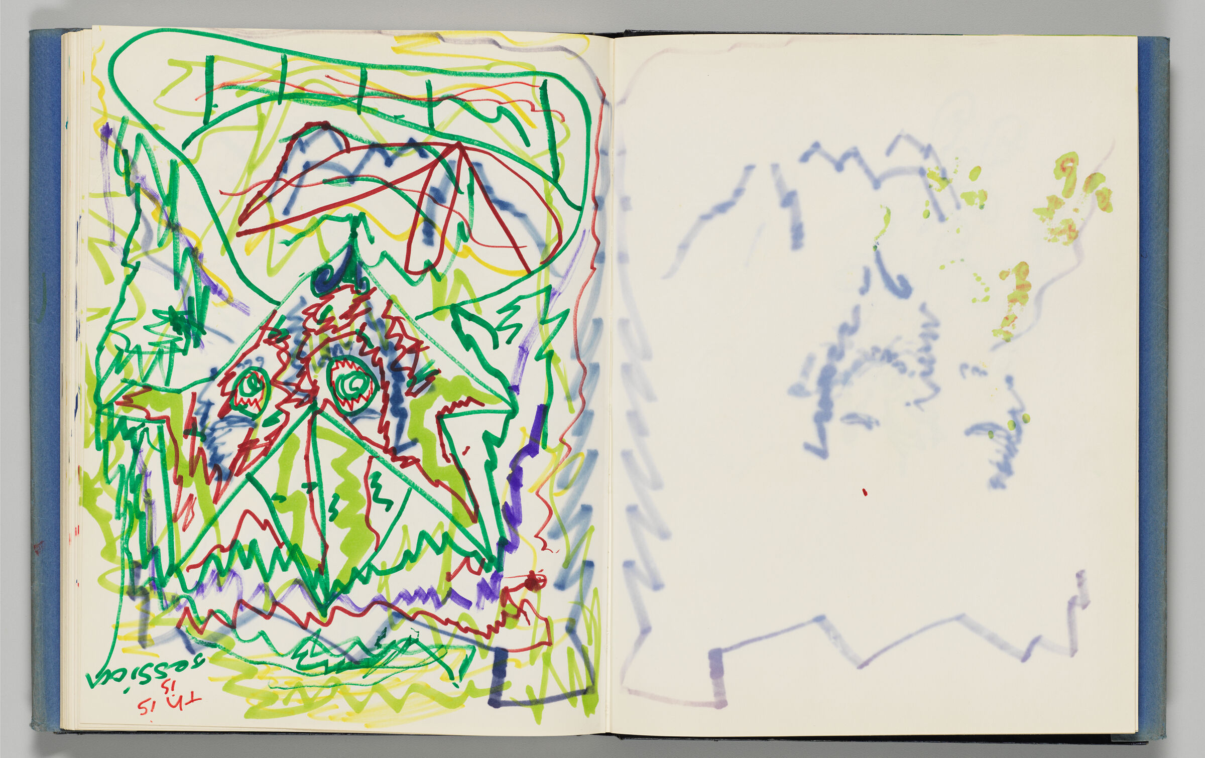 Untitled (Jessica's Drawing With Color Transfer, Left Page); Untitled (Bleed-Through Of Following Page And Color Transfer, Right Page)
