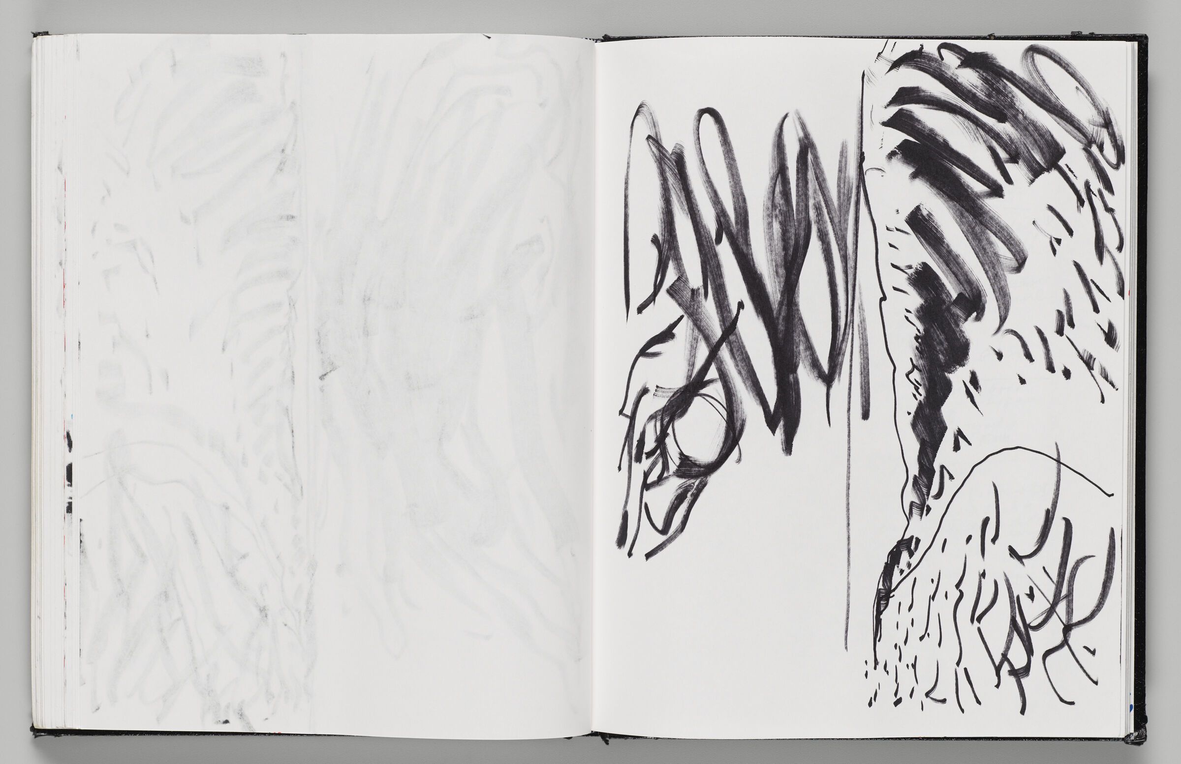 Untitled (Bleed-Through Of Previous Page, Left Page); Untitled (Nauset Beach, Right Page)
