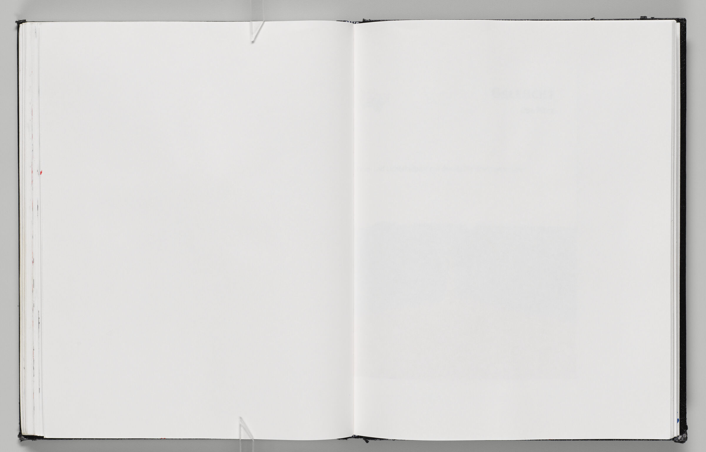 Untitled (Blank, Left Page); Untitled (Blank, Right Page)
