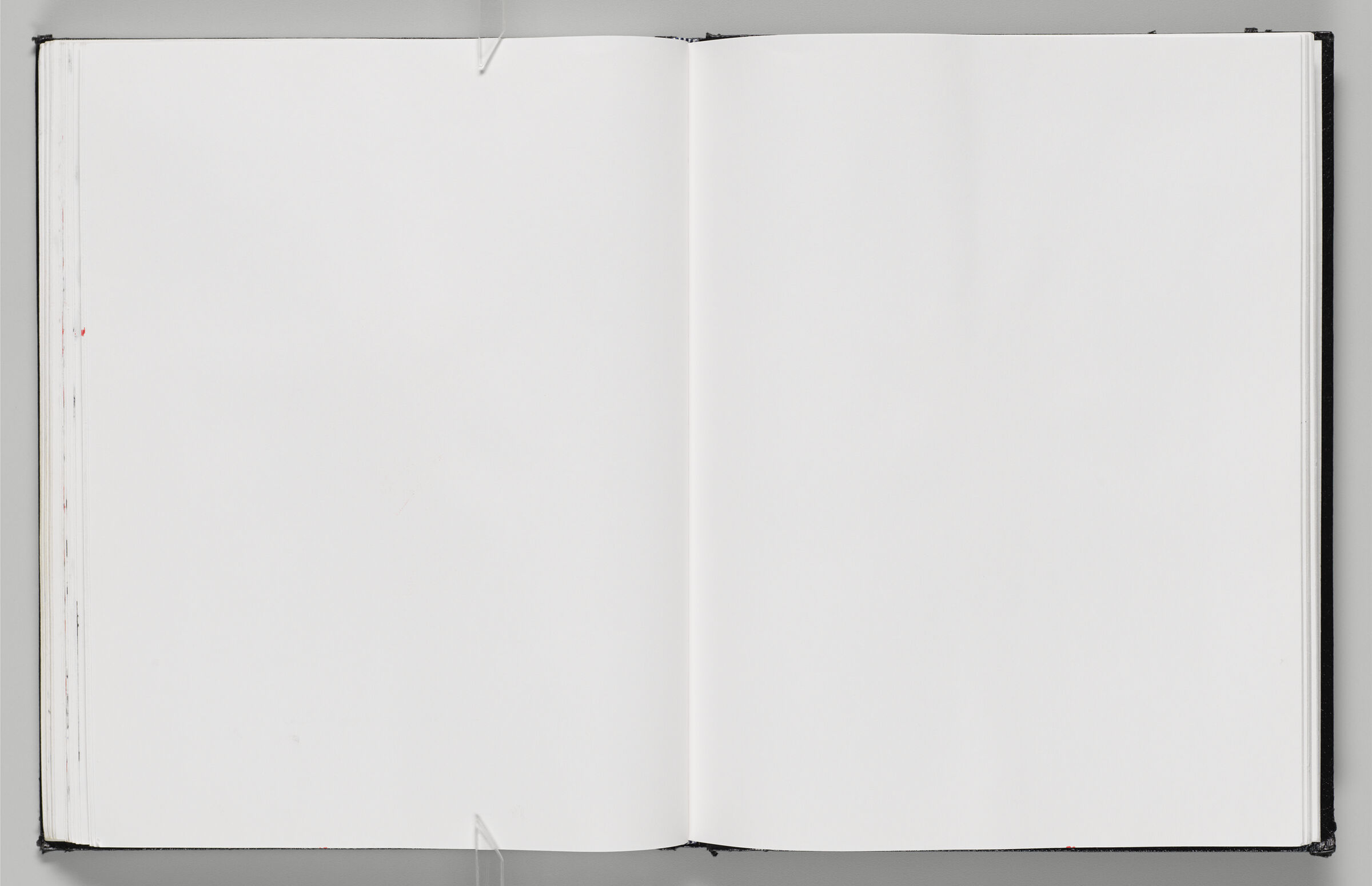 Untitled (Blank, Left Page); Untitled (Blank, Right Page)
