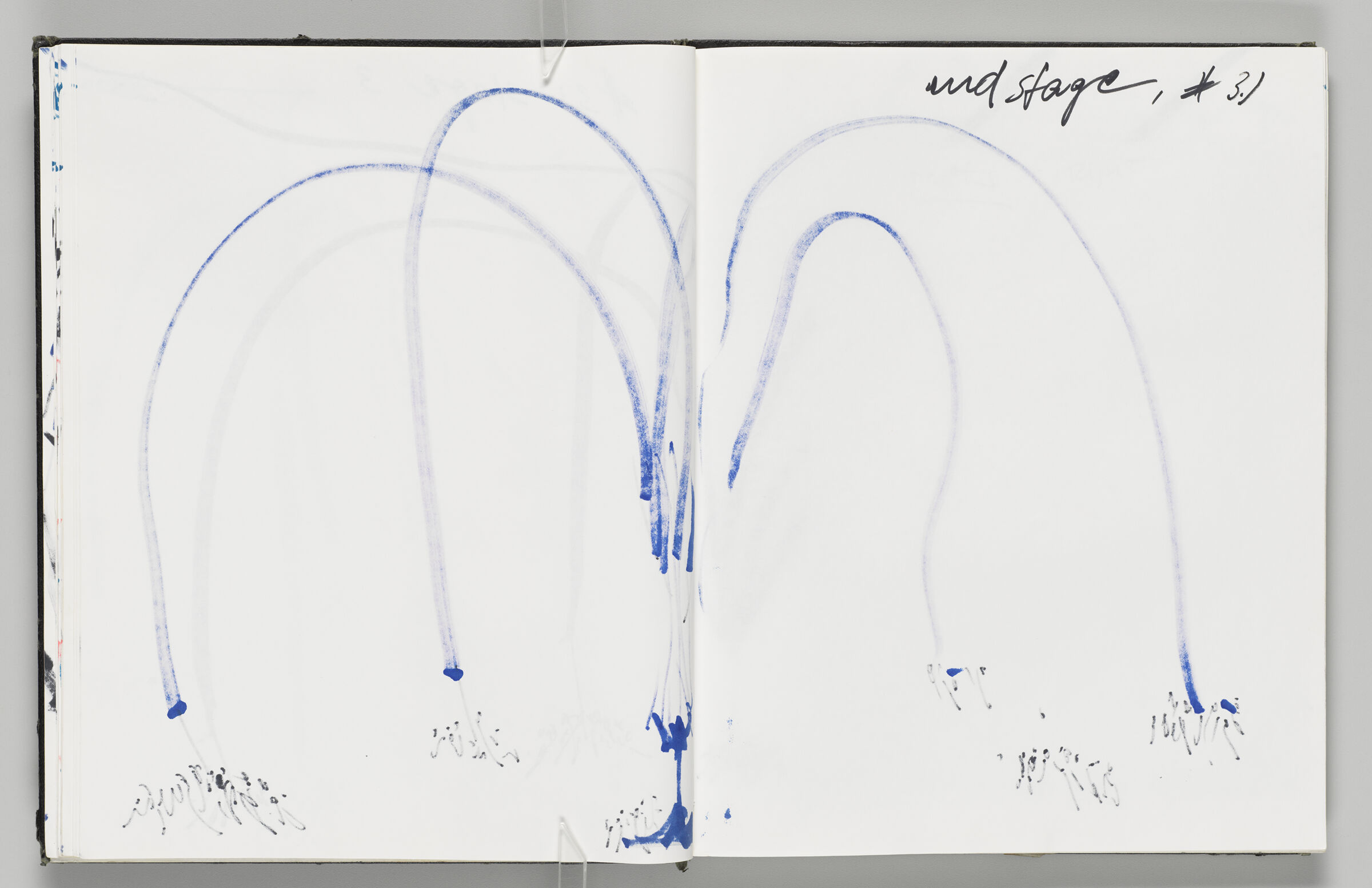 Untitled (Bleed-Through Of Previous Page, Left Page); Untitled (Note With Bleed-Through Of Following Page, Right Page)