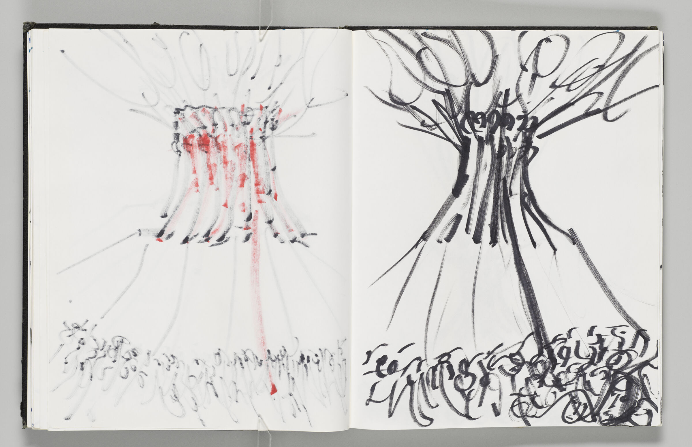 Untitled (Bleed-Through Of Previous Page, Left Page); Untitled (Inflatable In Sky With Crowd, Right Page)
