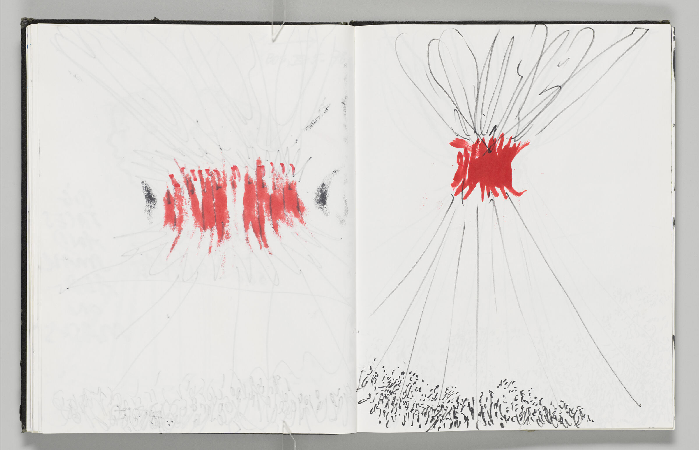 Untitled (Bleed-Through Of Previous Page, Left Page); Untitled (Inflatable With Crowd, Right Page)