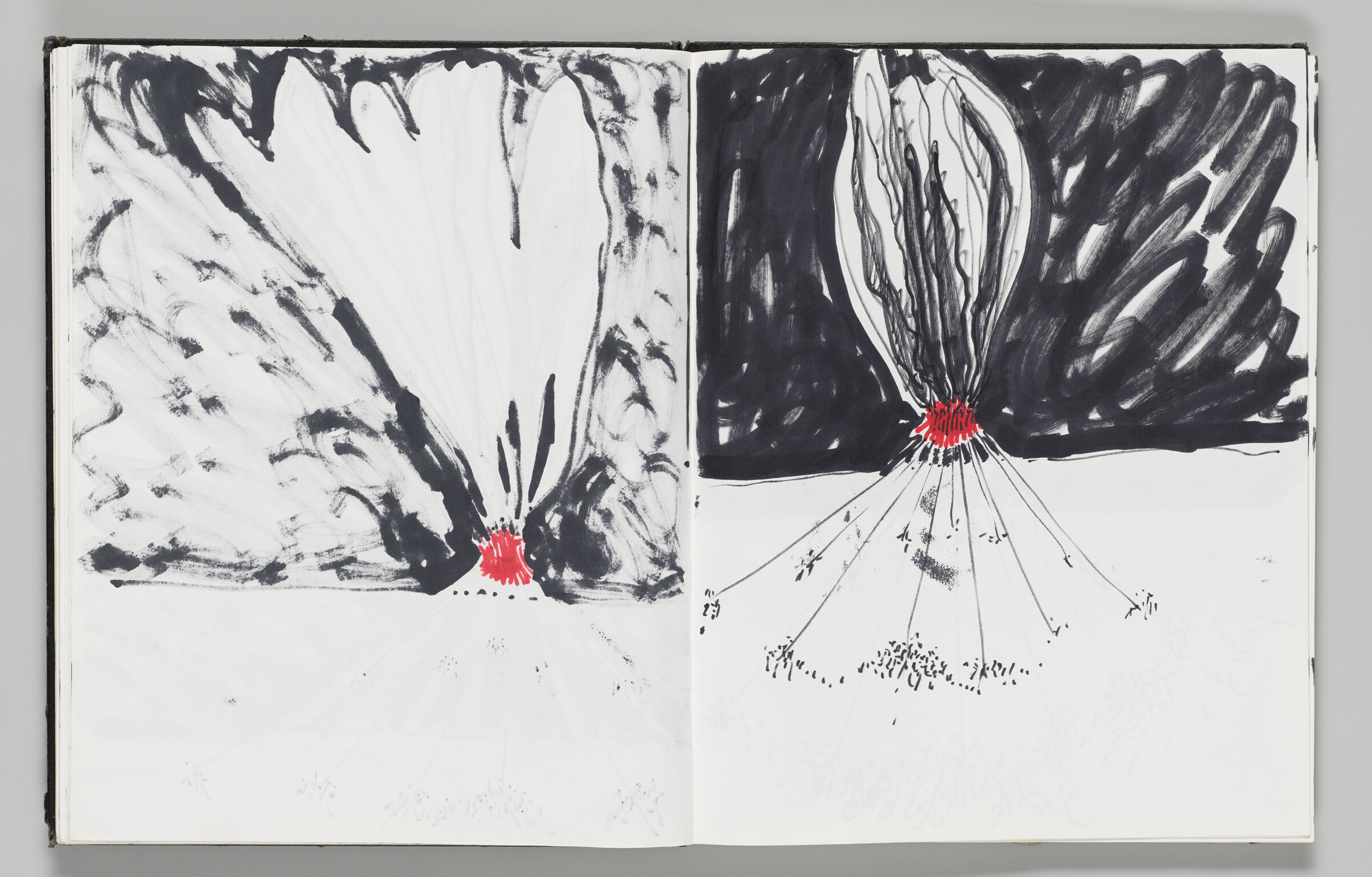 Untitled (Bleed-Through Of Previous Page, Left Page); Untitled (Inflatable With Crowd Against Black Background, Right Page)