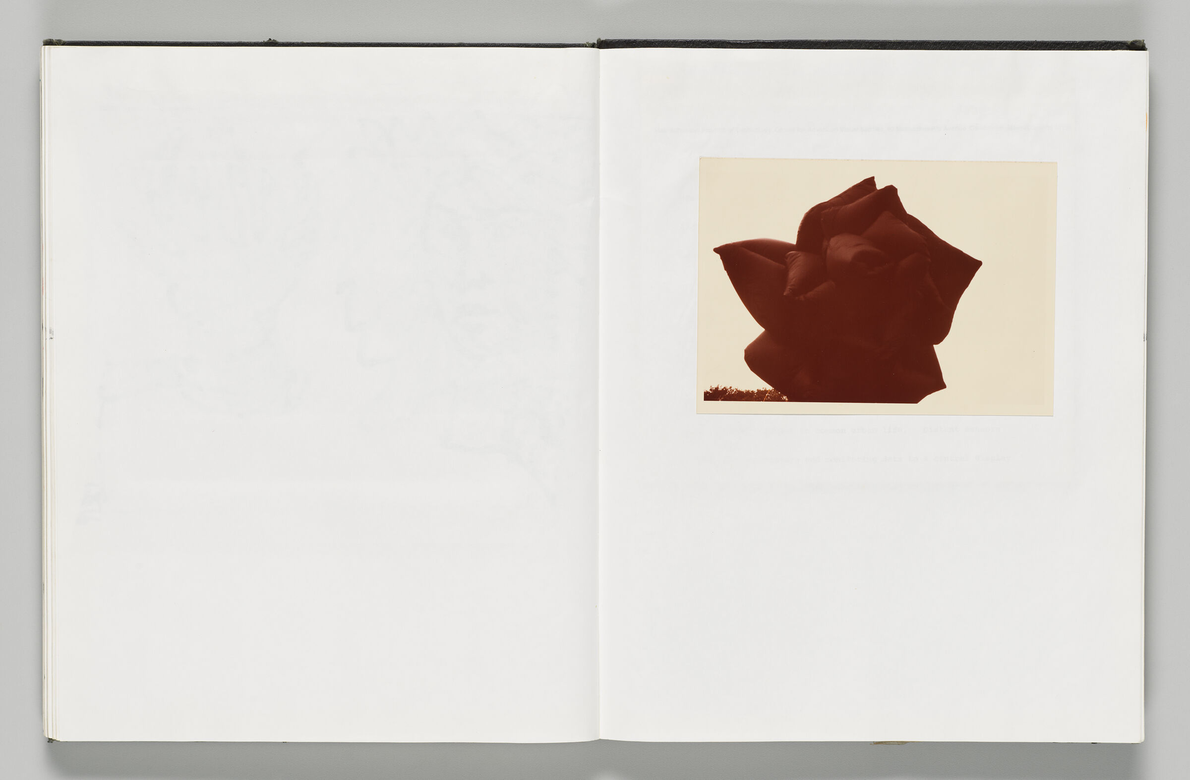 Untitled (Blank, Left Page); Untitled (Adhered Photograph Of Inflatable [Black Rose?], Right Page)