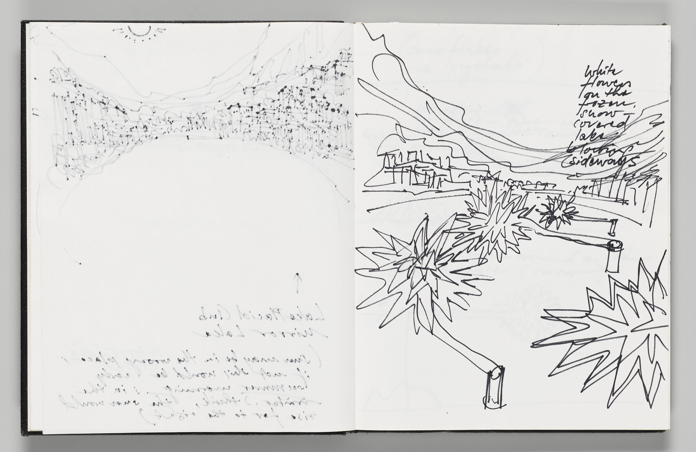 Untitled (Bleed-Through Of Previous Page, Left Page); Untitled (Inflatables On 