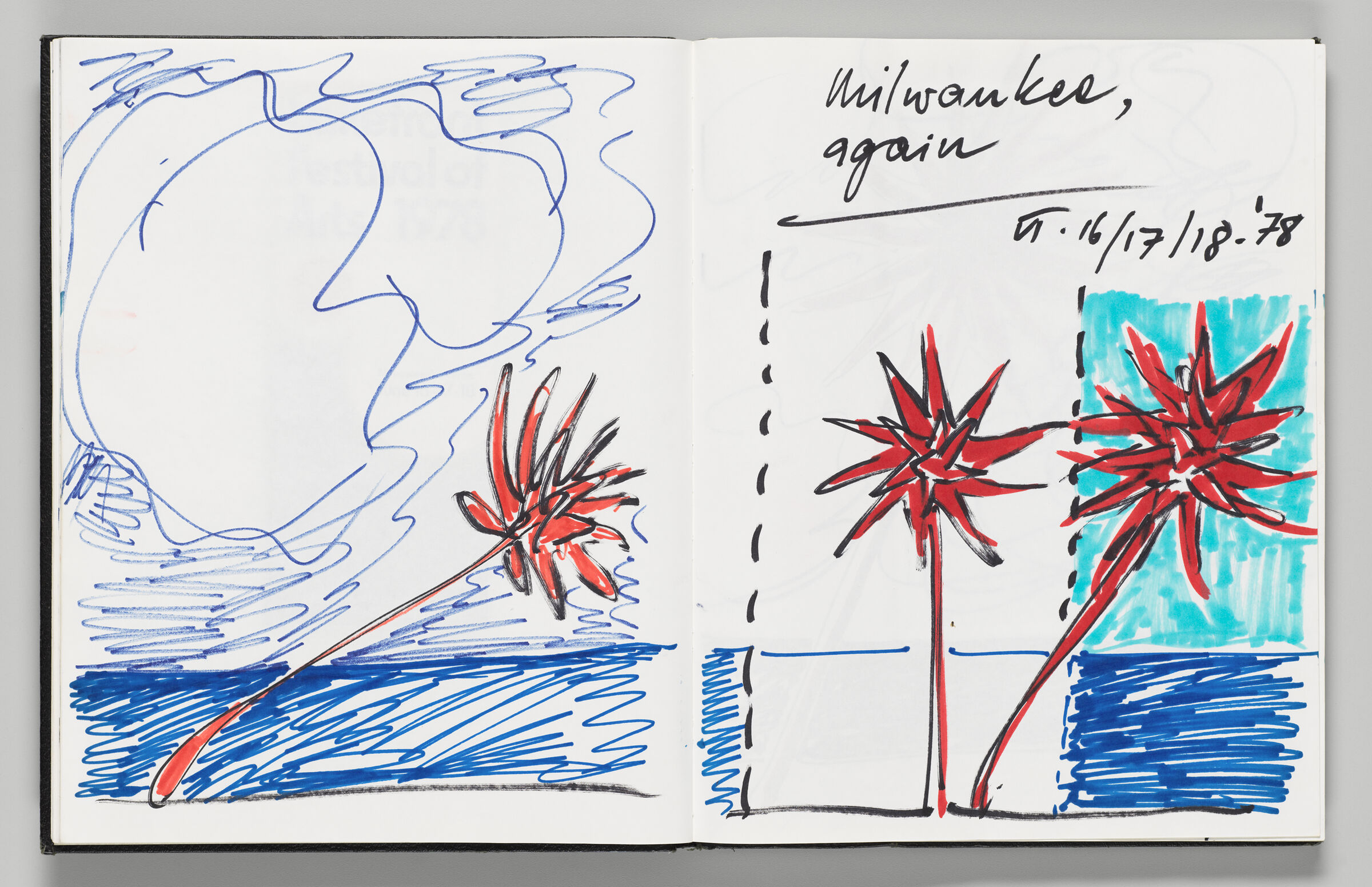Untitled (Sketch Of Lakefront Anemone, Left Page); Untitled (Sketches Of Lakefront Anemone, Right Page)