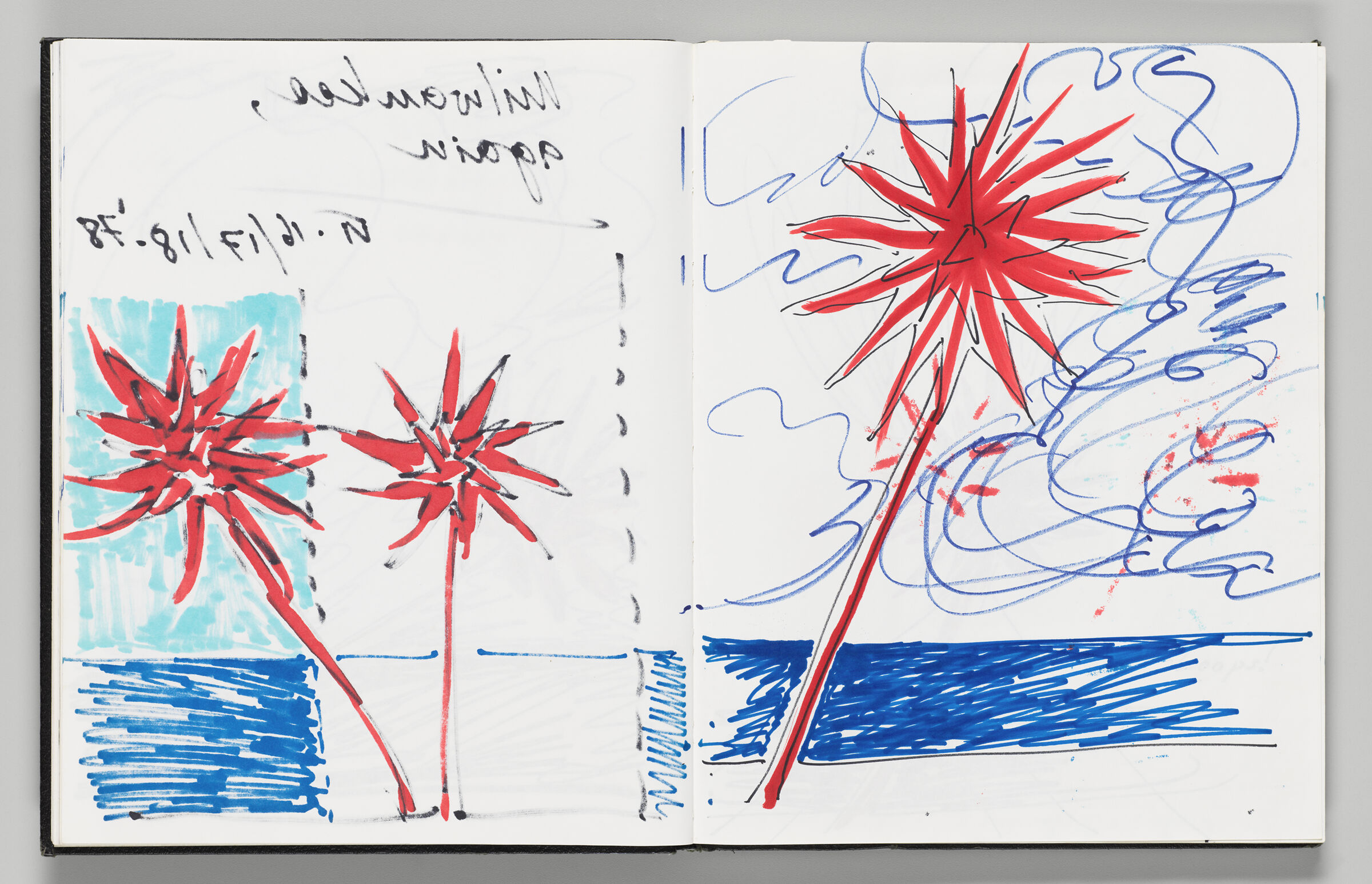 Untitled (Bleed-Through Of Previous Page, Left Page); Untitled (Sketch Of Lakefront Anemone, Right Page)