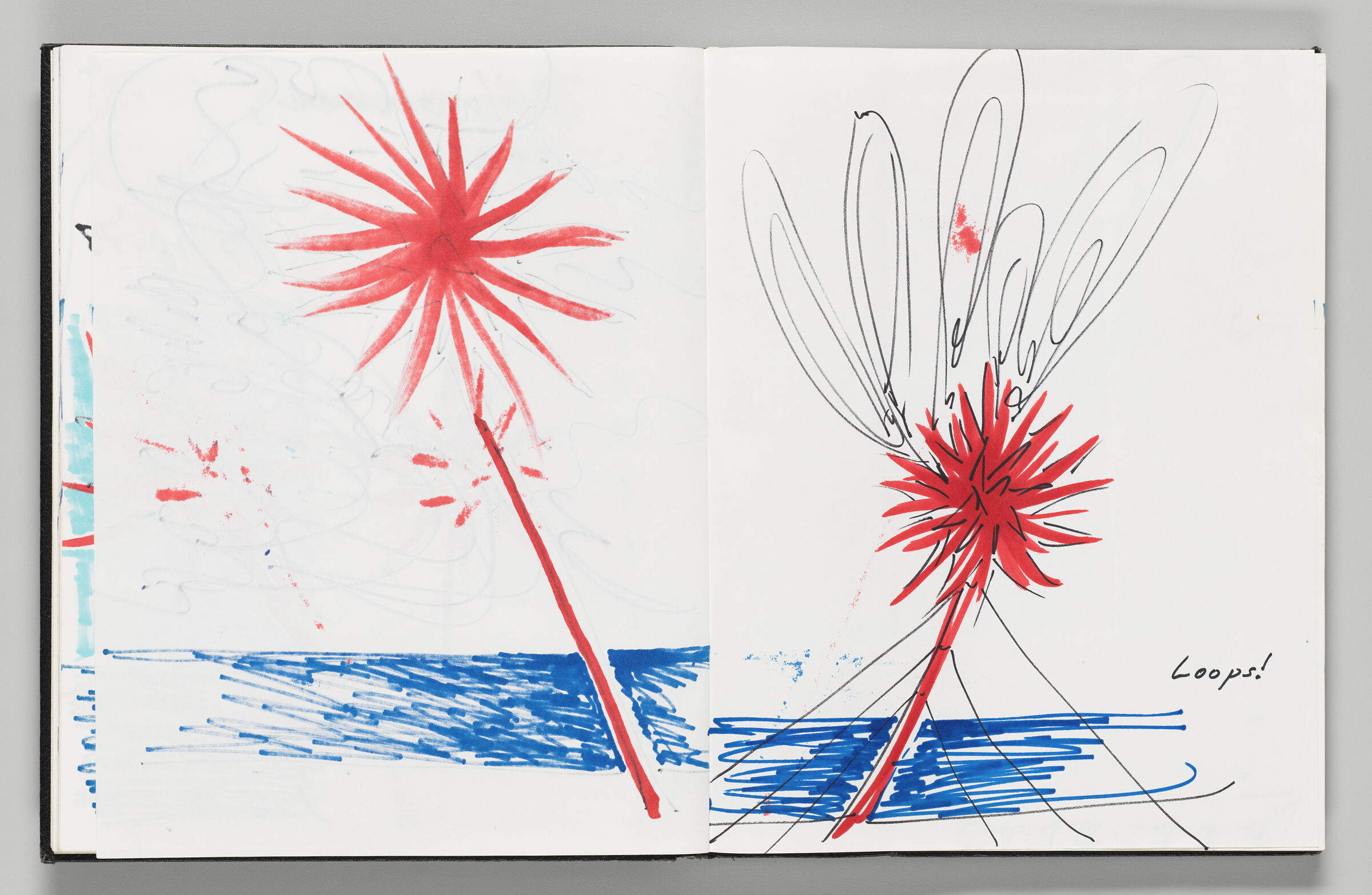 Untitled (Bleed-Through Of Previous Page, Left Page); Untitled (Sketch Of Lakefront Anemone With 
