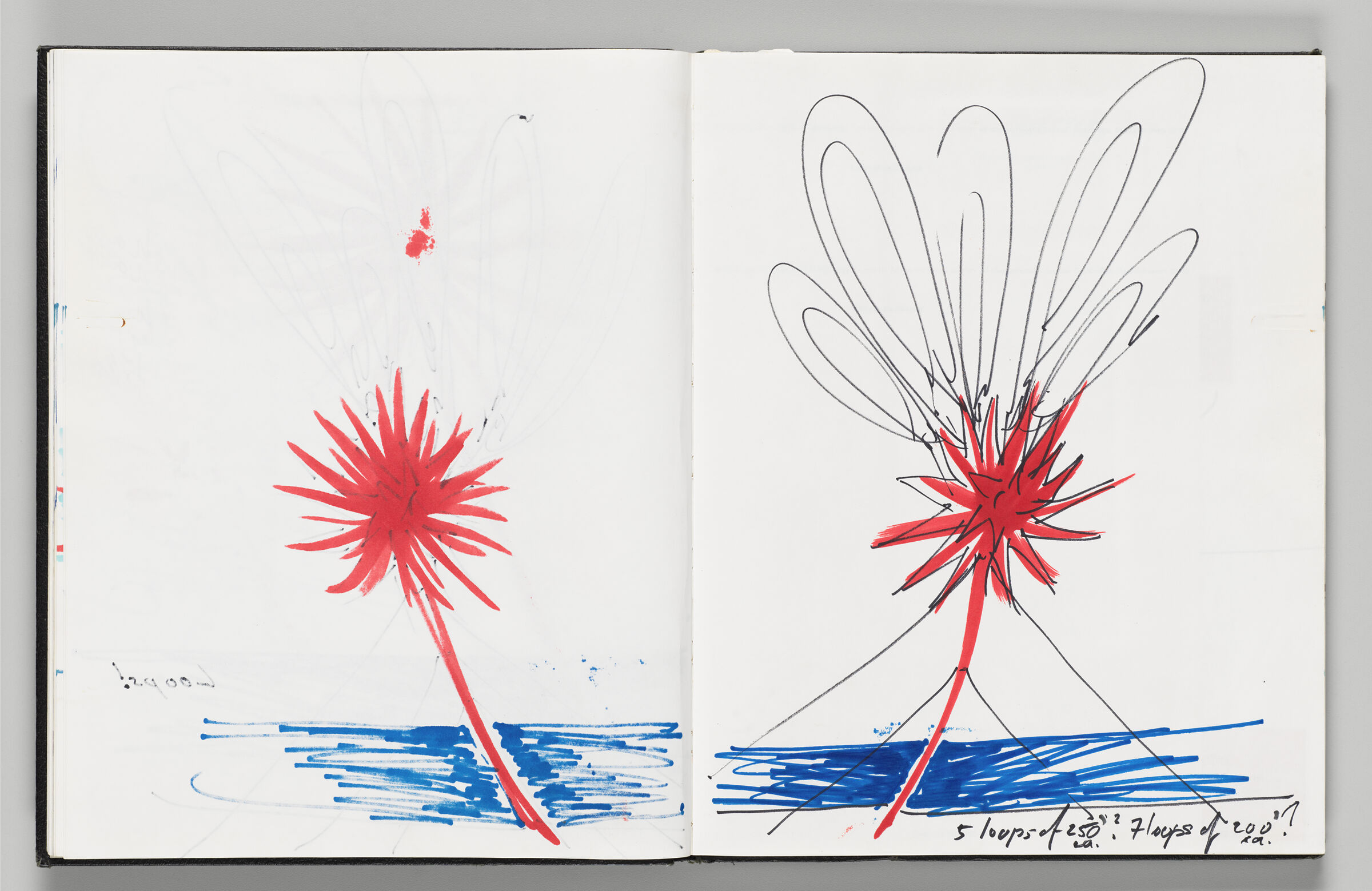 Untitled (Bleed-Through Of Previous Page, Left Page); Untitled (Sketch Of Lakefront Anemone With 