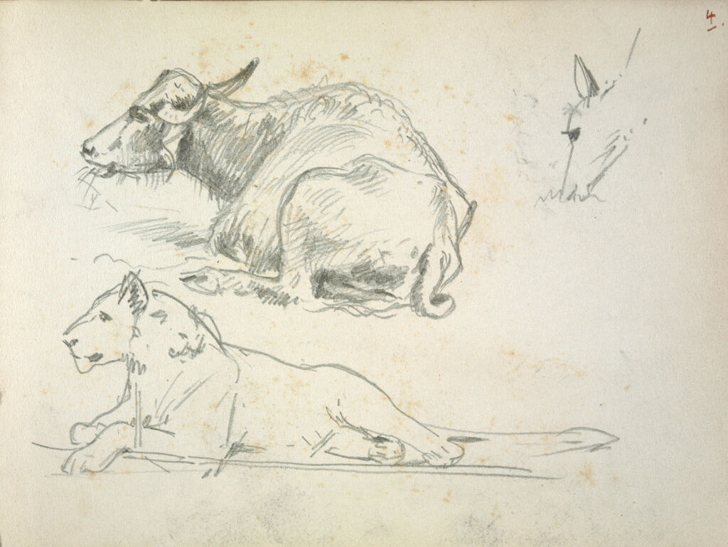 Studies Of Animals; Verso: Caricature And Figure Studies