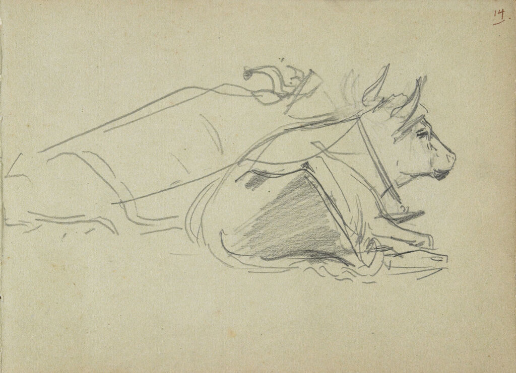 Studies Of Cows; Verso: Sketches Of Boy And Goats