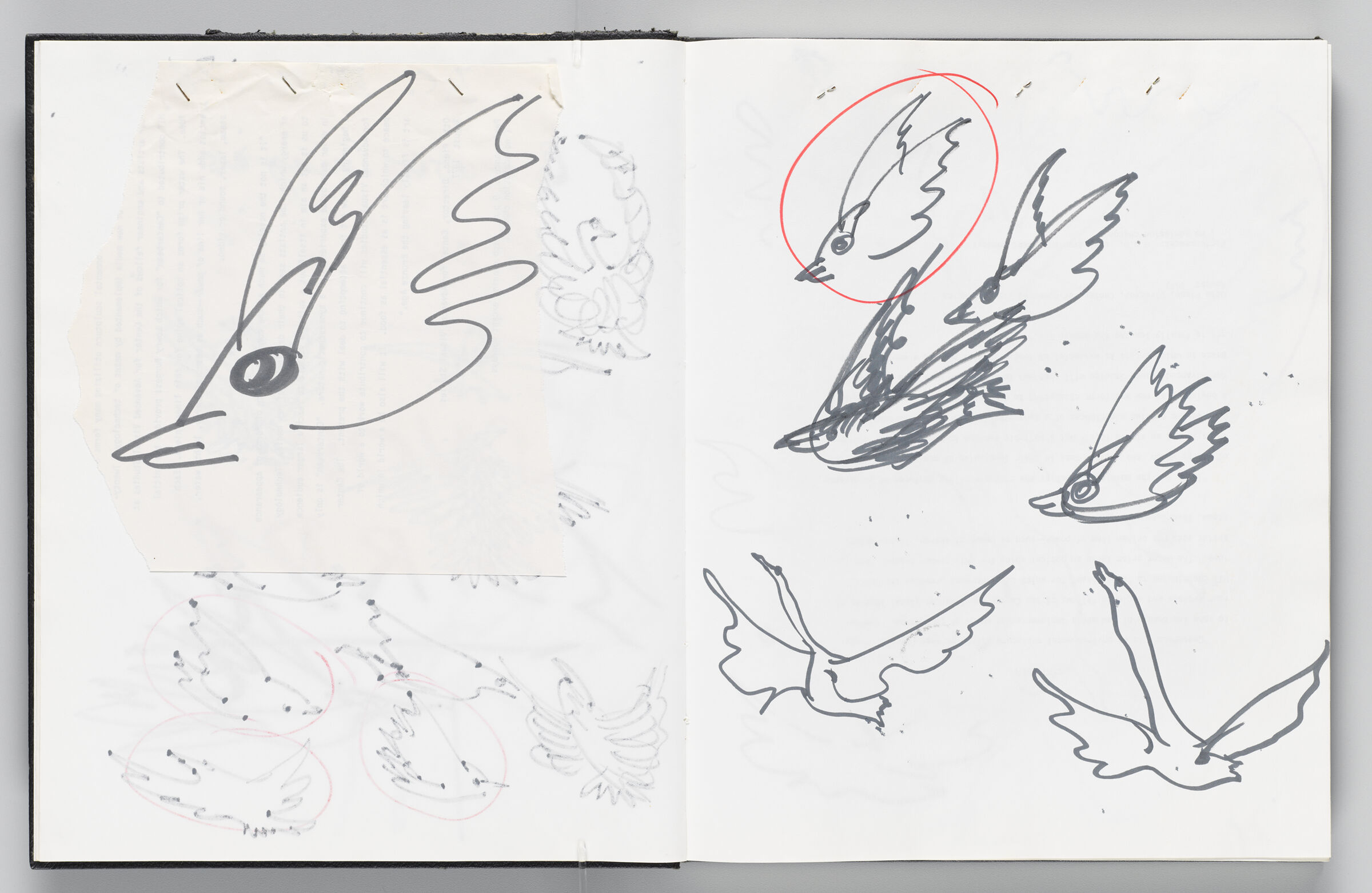 Untitled (Bleed-Through Of Previous Page With Stapled Sketch Of Bird, Left Page); Untitled (
