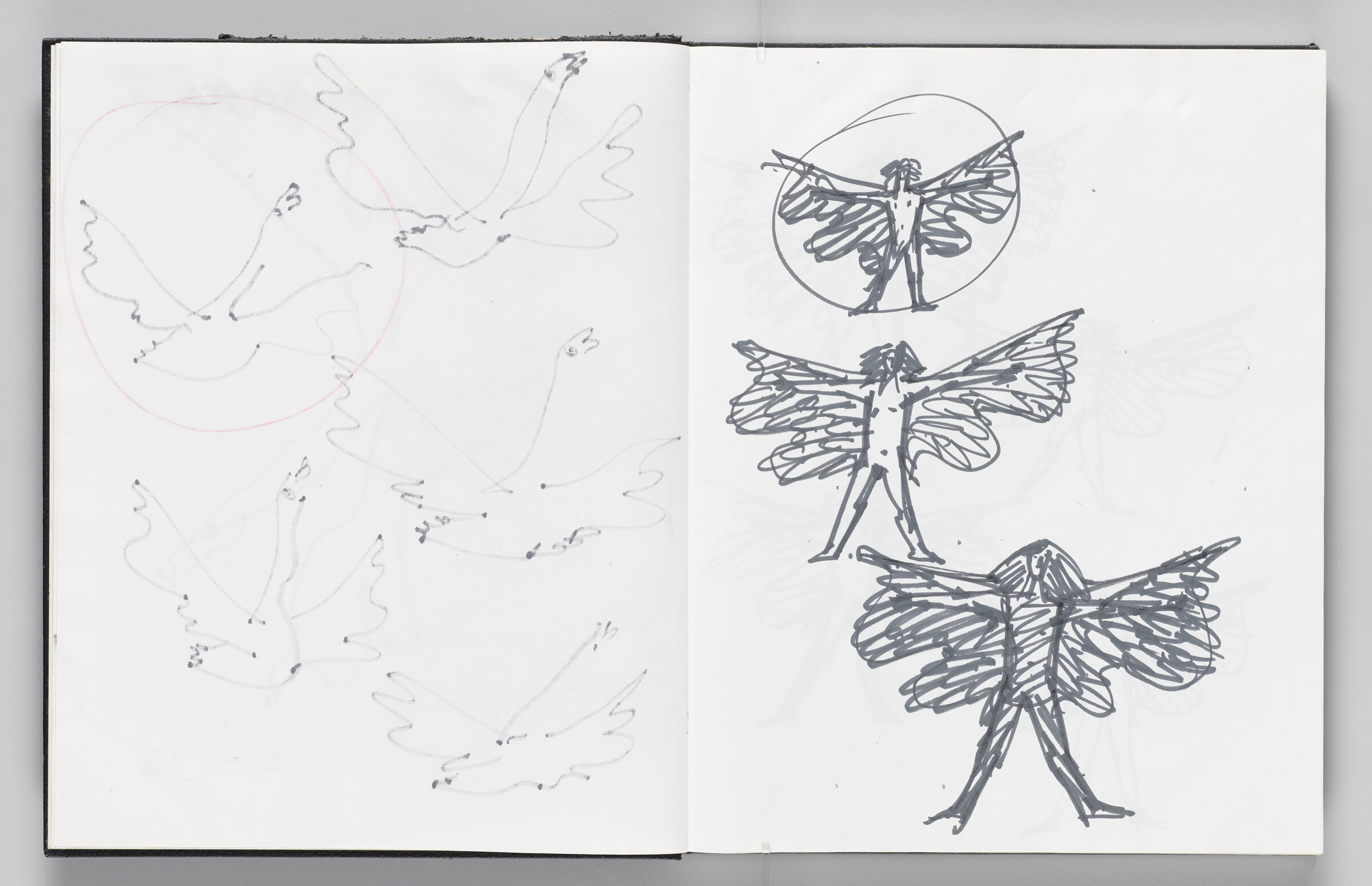 Untitled (Bleed-Through Of Previous Page, Left Page); Untitled (Icarus Sketches, Right Page)