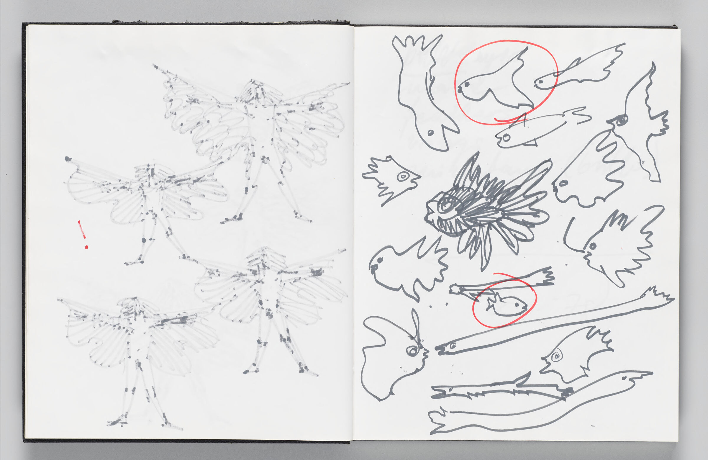 Untitled (Bleed-Through Of Previous Page, Left Page); Untitled (Sketches Of Fish, Right Page)