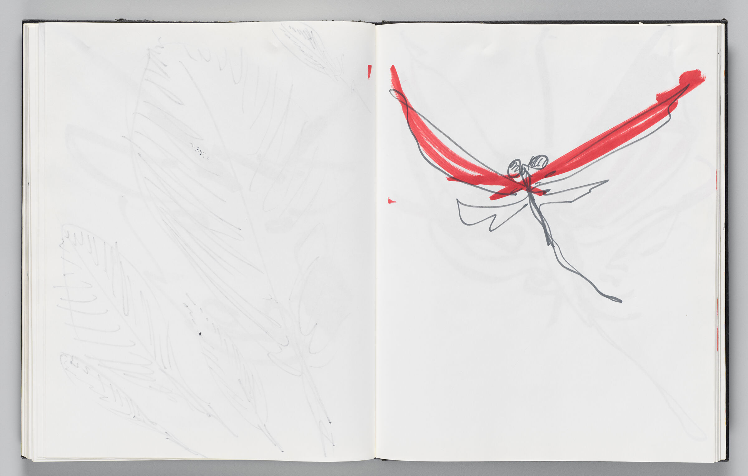 Untitled (Bleed-Through Of Previous Page, Left Page); Untitled (Winged Insect, Right Page)