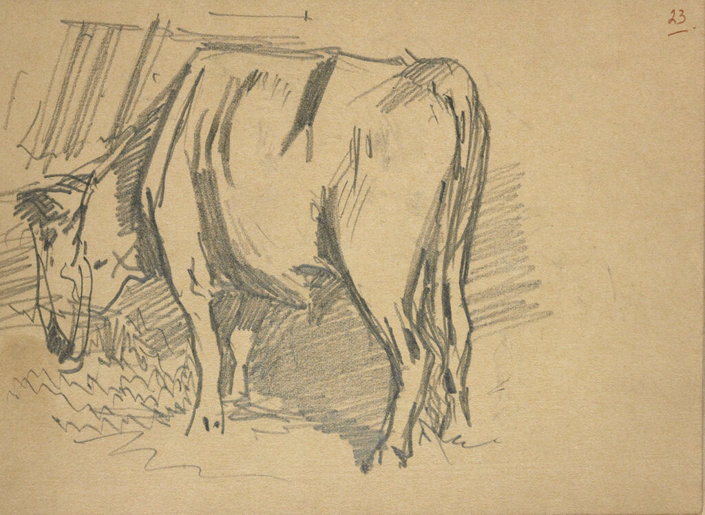 Study Of A Cow; Verso: Studies Of Cows