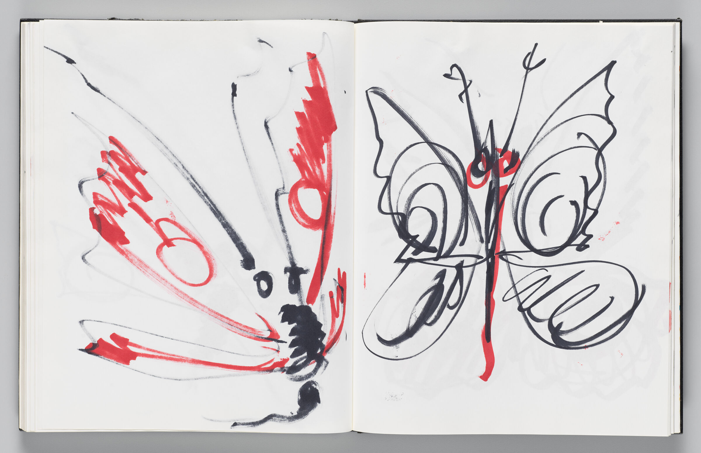 Untitled (Bleed-Through Of Previous Page, Left Page); Untitled (Winged Insect With Faint Color Transfer, Right Page)