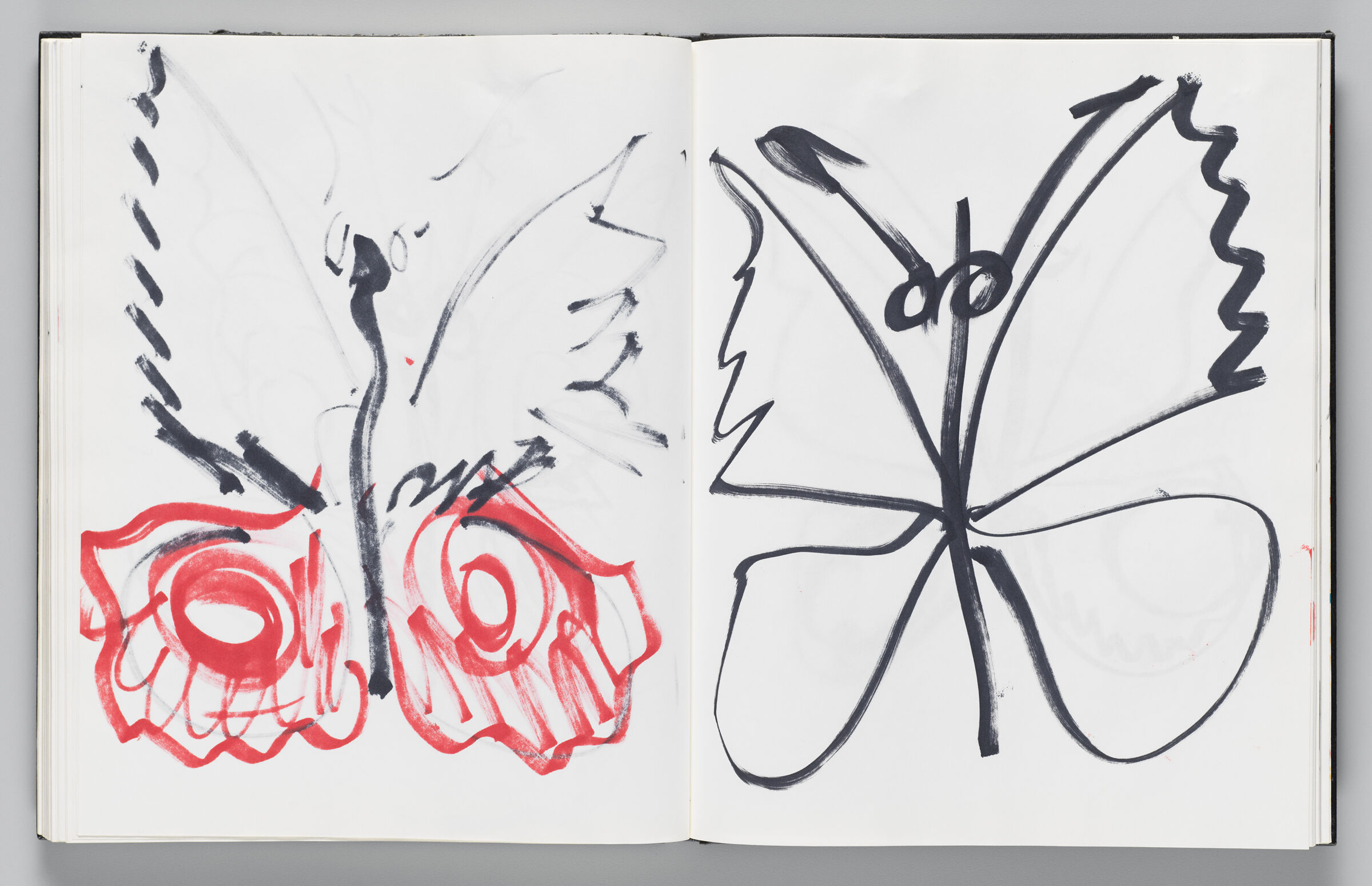 Untitled (Bleed-Through Of Previous Page, Left Page); Untitled (Winged Insect With Faint Color Transfer, Right Page)