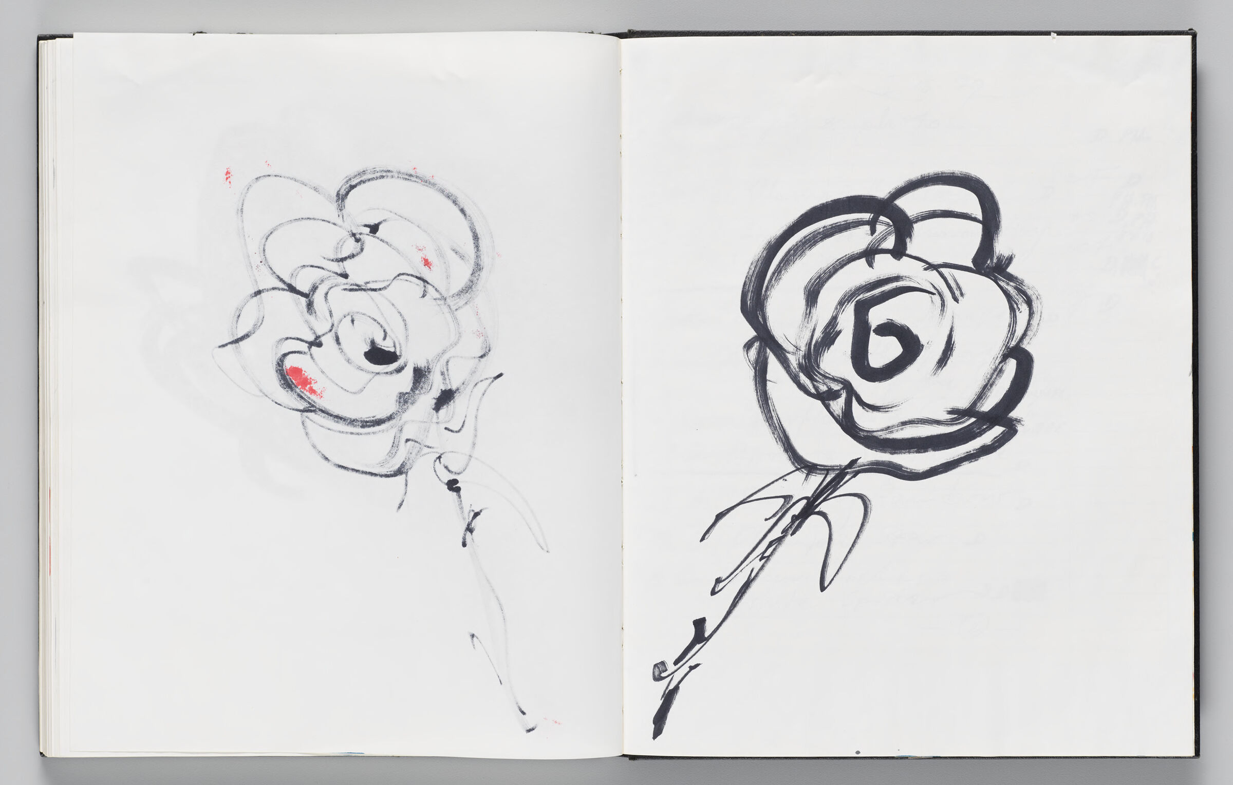 Untitled (Bleed-Through Of Previous Page, Left Page); Untitled (Flower, Right Page)
