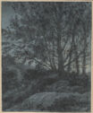 A drawing of a tree in a forest