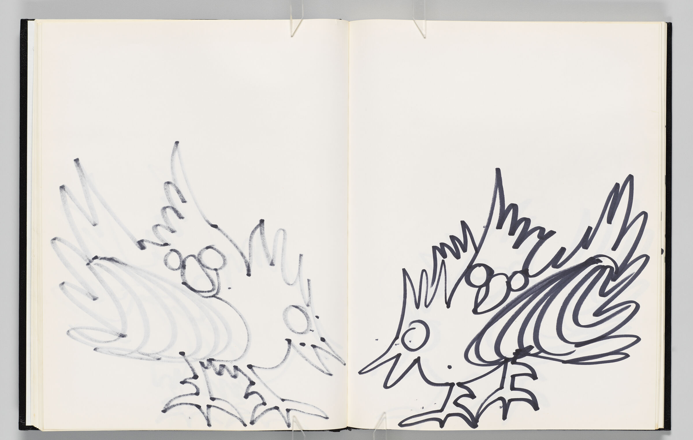 Untitled (Bleed-Through Of Previous Page, Left Page); Untitled (Birds, Right Page)