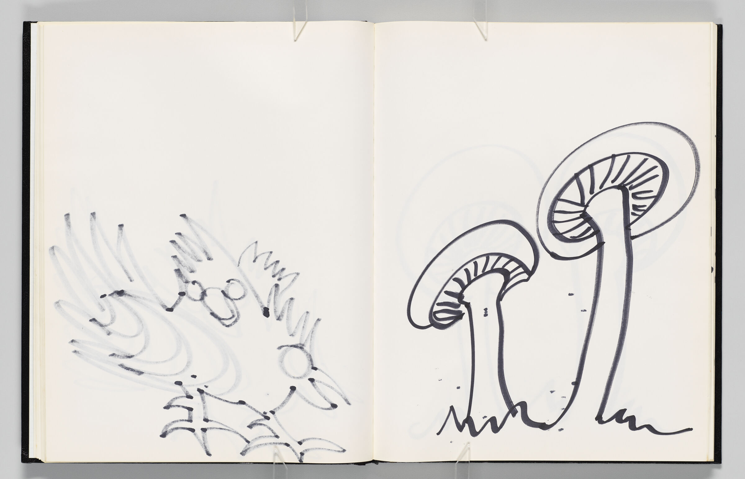 Untitled (Bleed-Through Of Previous Page, Left Page); Untitled (Mushrooms, Right Page)