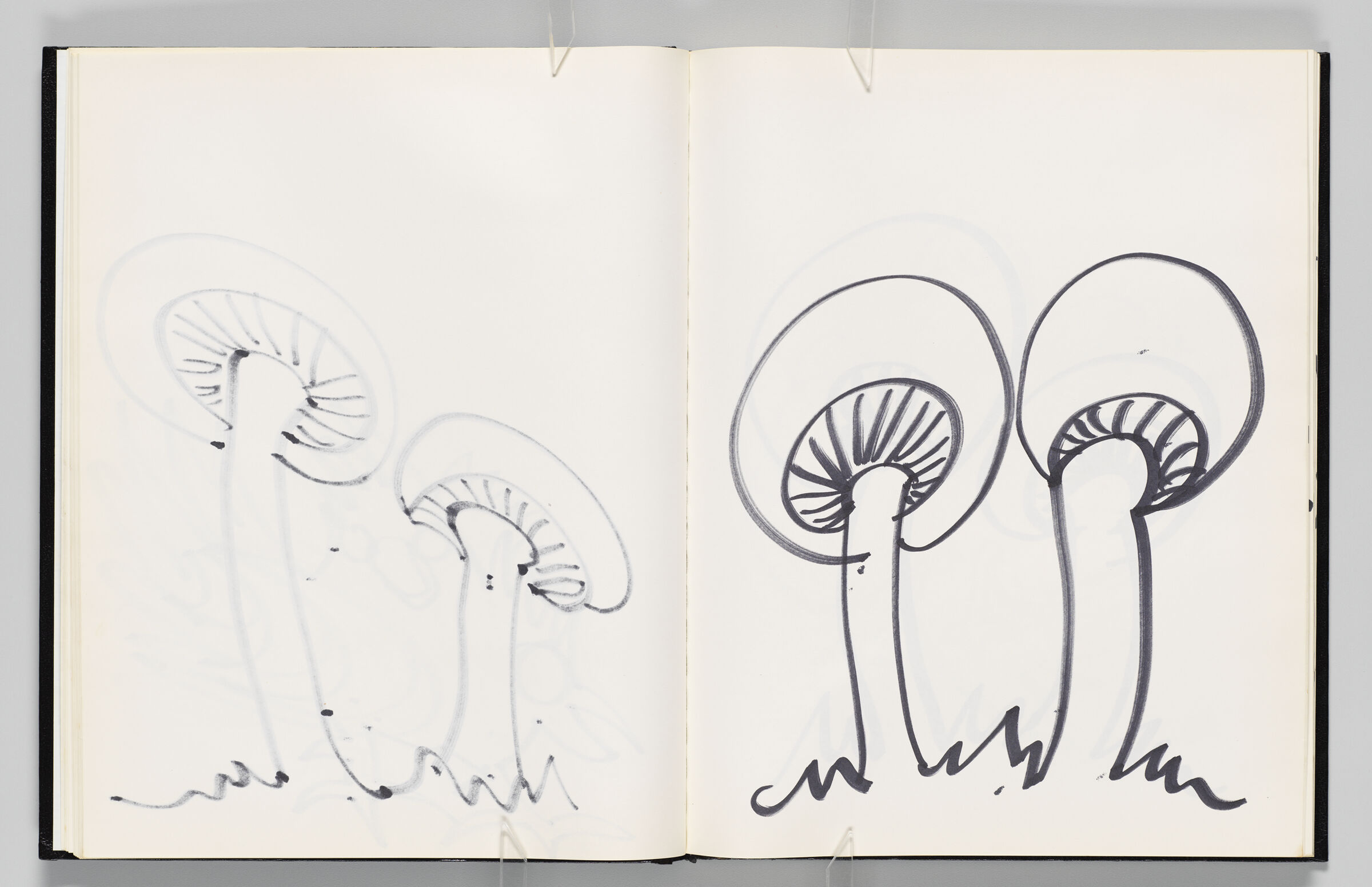 Untitled (Bleed-Through Of Previous Page, Left Page); Untitled (Mushrooms, Right Page)