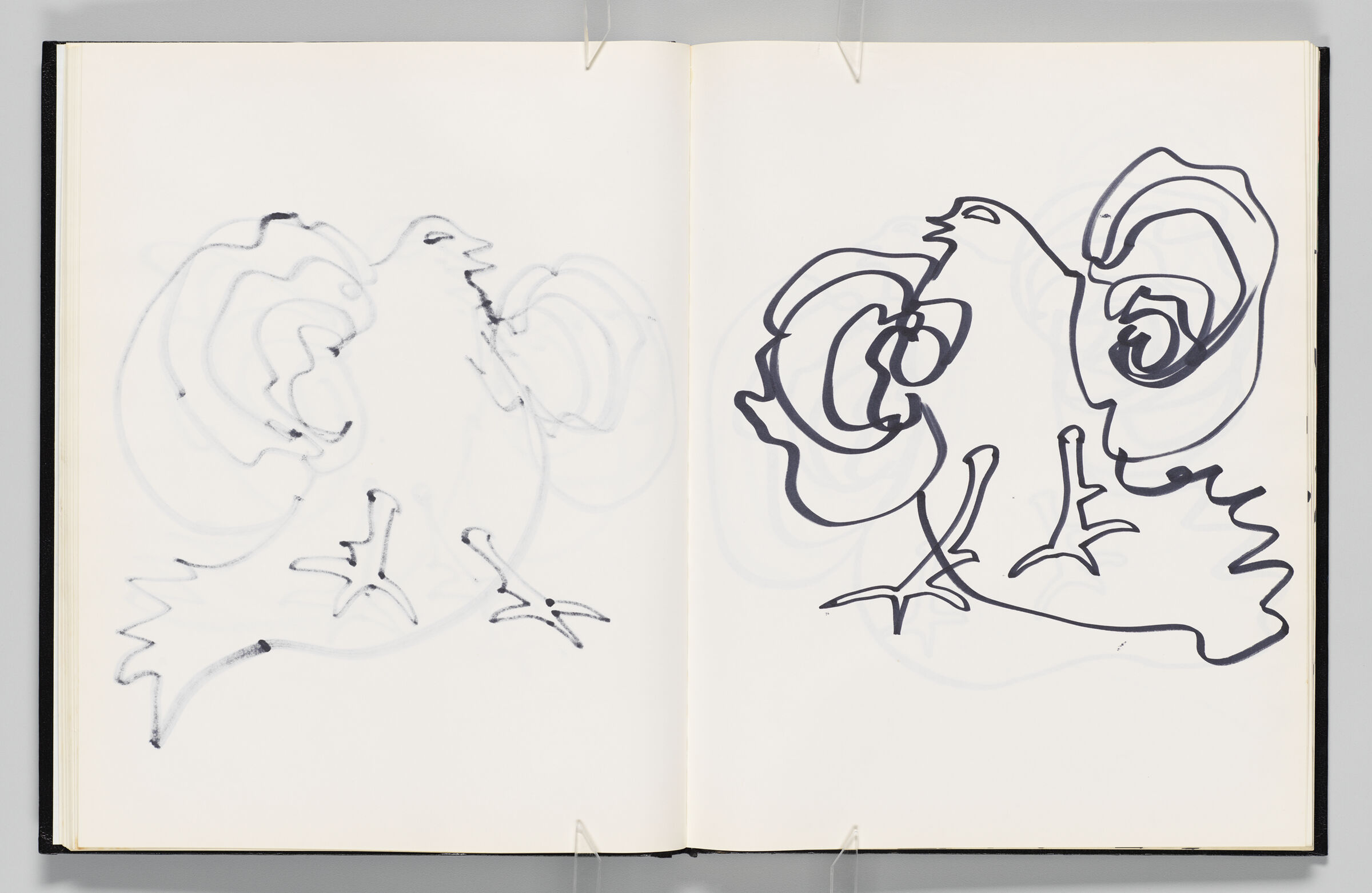 Untitled (Bleed-Through Of Previous Page, Left Page); Untitled (Bird, Right Page)