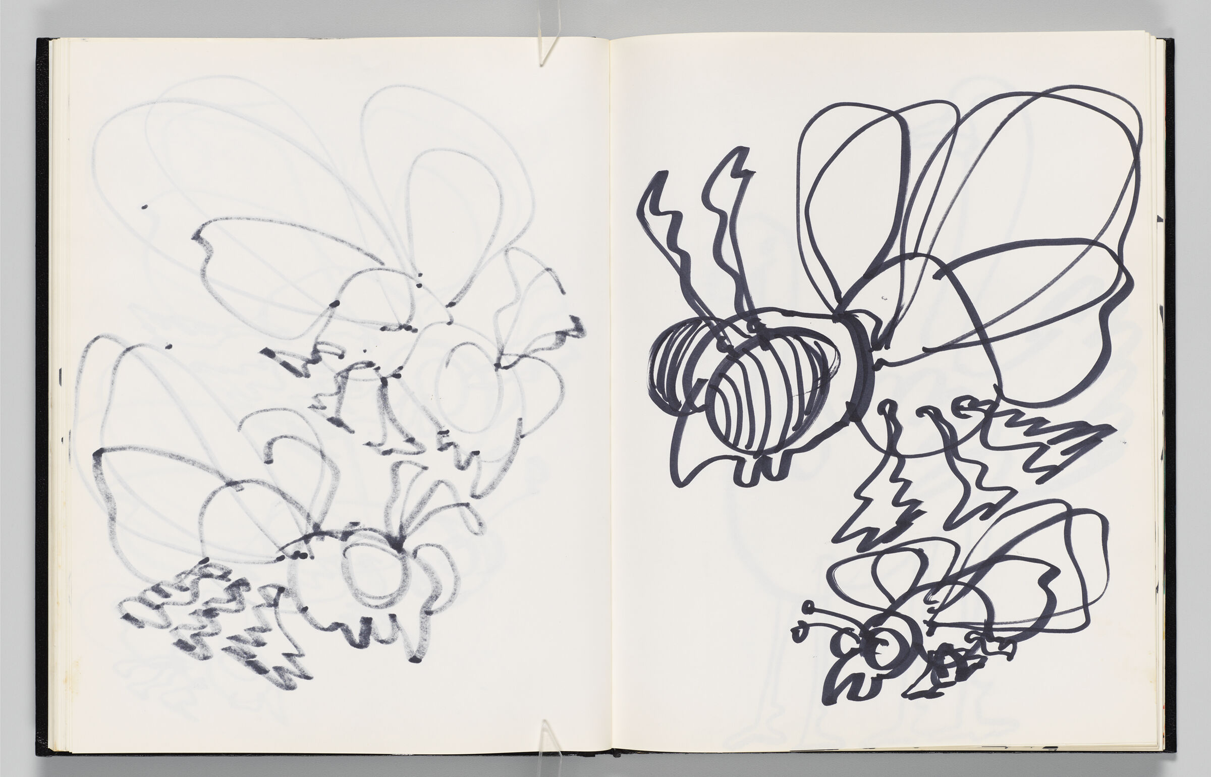 Untitled (Bleed-Through Of Previous Page, Left Page); Untitled (Gnats, Right Page)