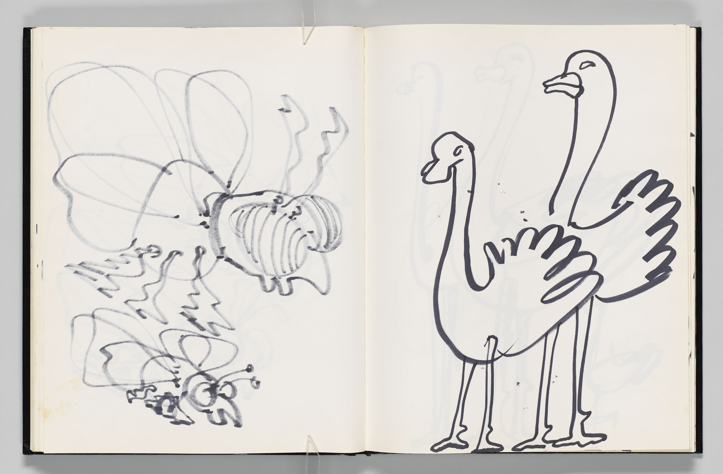 Untitled (Bleed-Through Of Previous Page, Left Page); Untitled (Ostriches, Right Page)