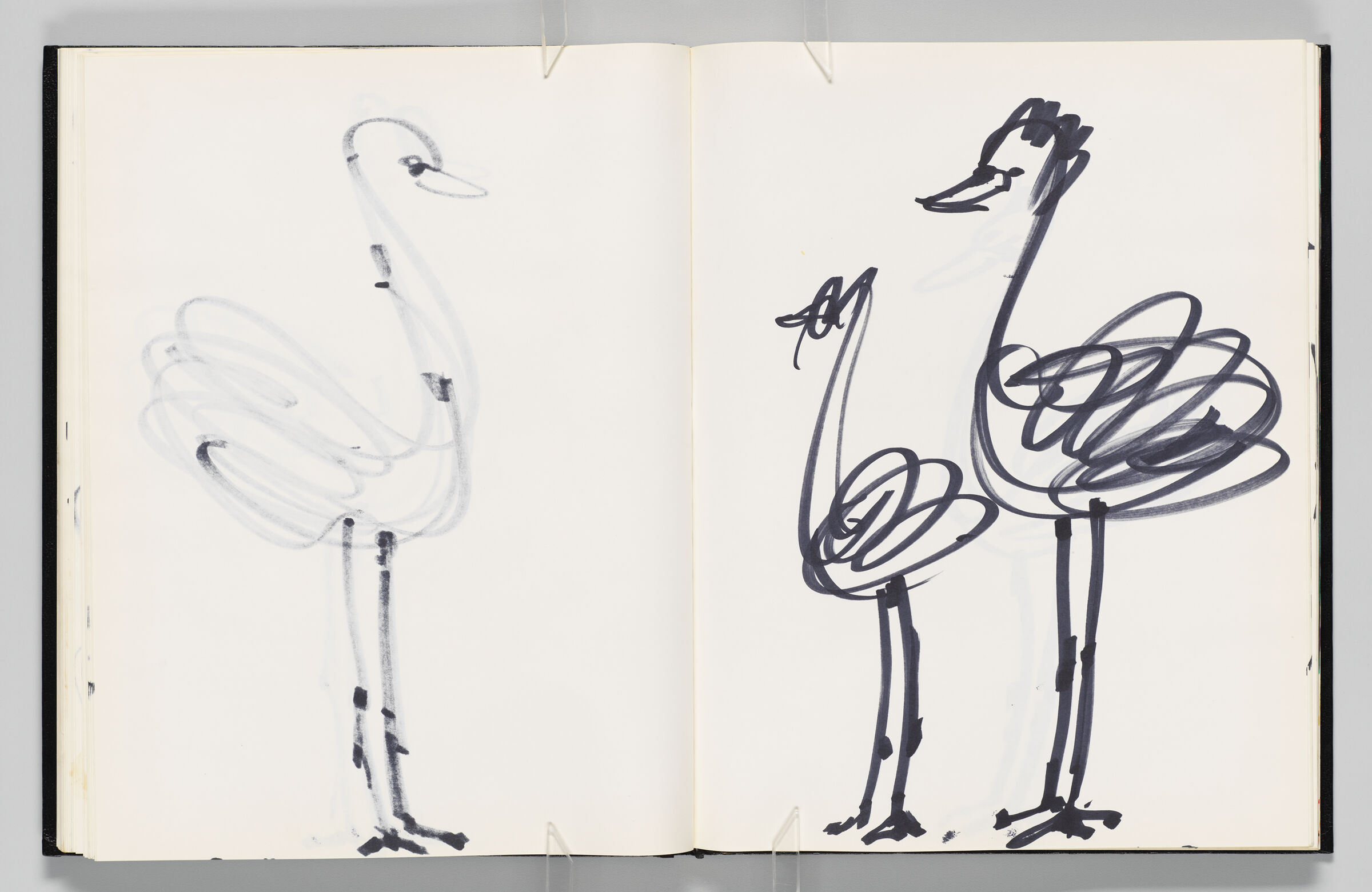 Untitled (Bleed-Through Of Previous Page, Left Page); Untitled (Ostriches, Right Page)