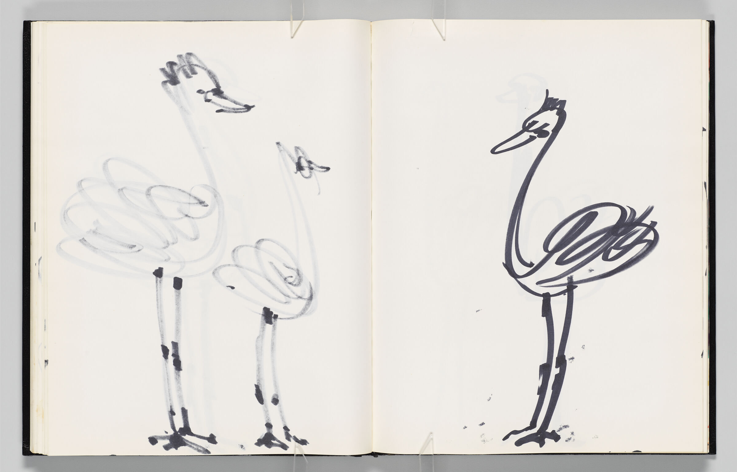 Untitled (Bleed-Through Of Previous Page, Left Page); Untitled (Ostrich, Right Page)