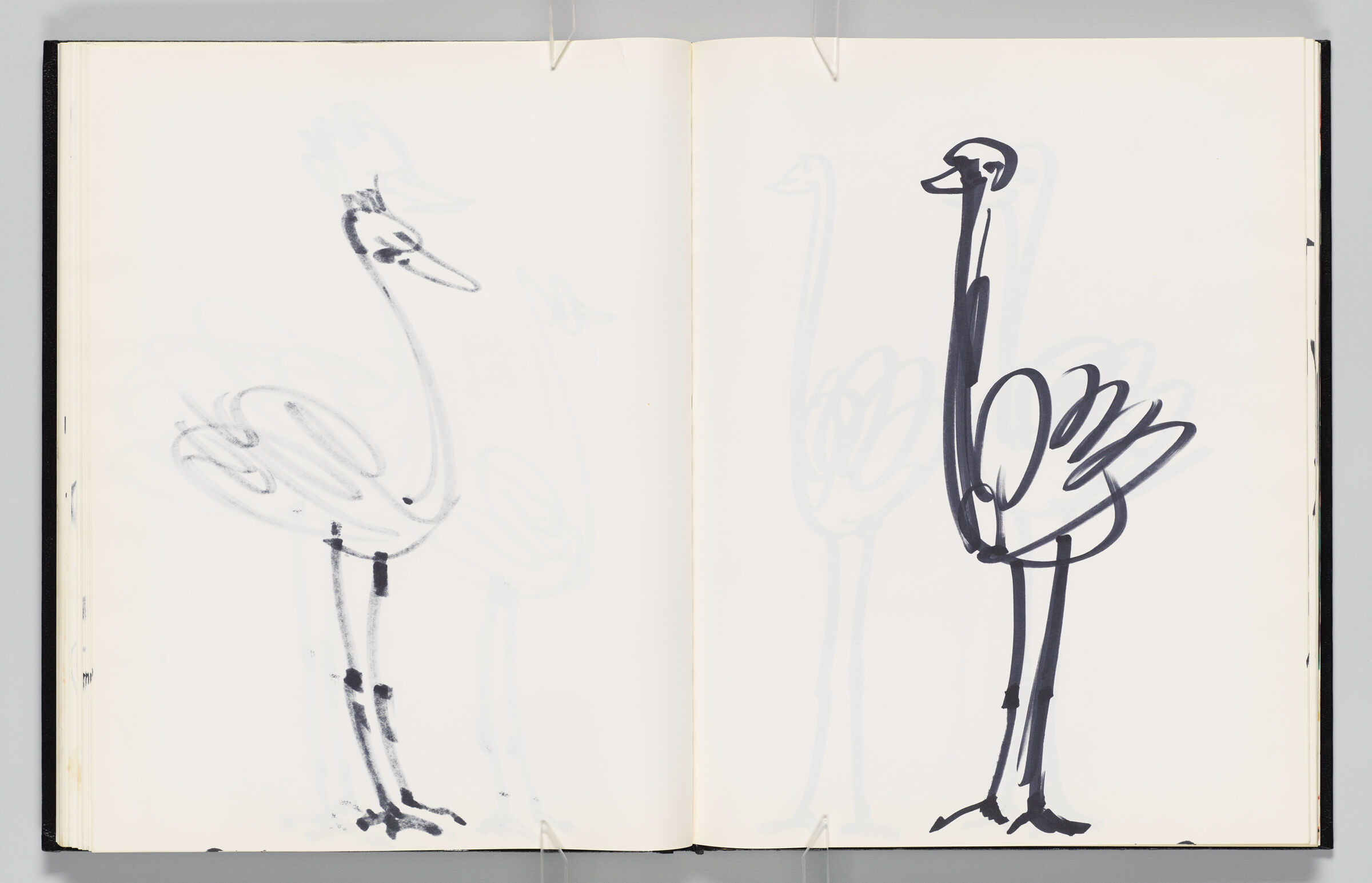 Untitled (Bleed-Through Of Previous Page, Left Page); Untitled (Ostrich, Right Page)