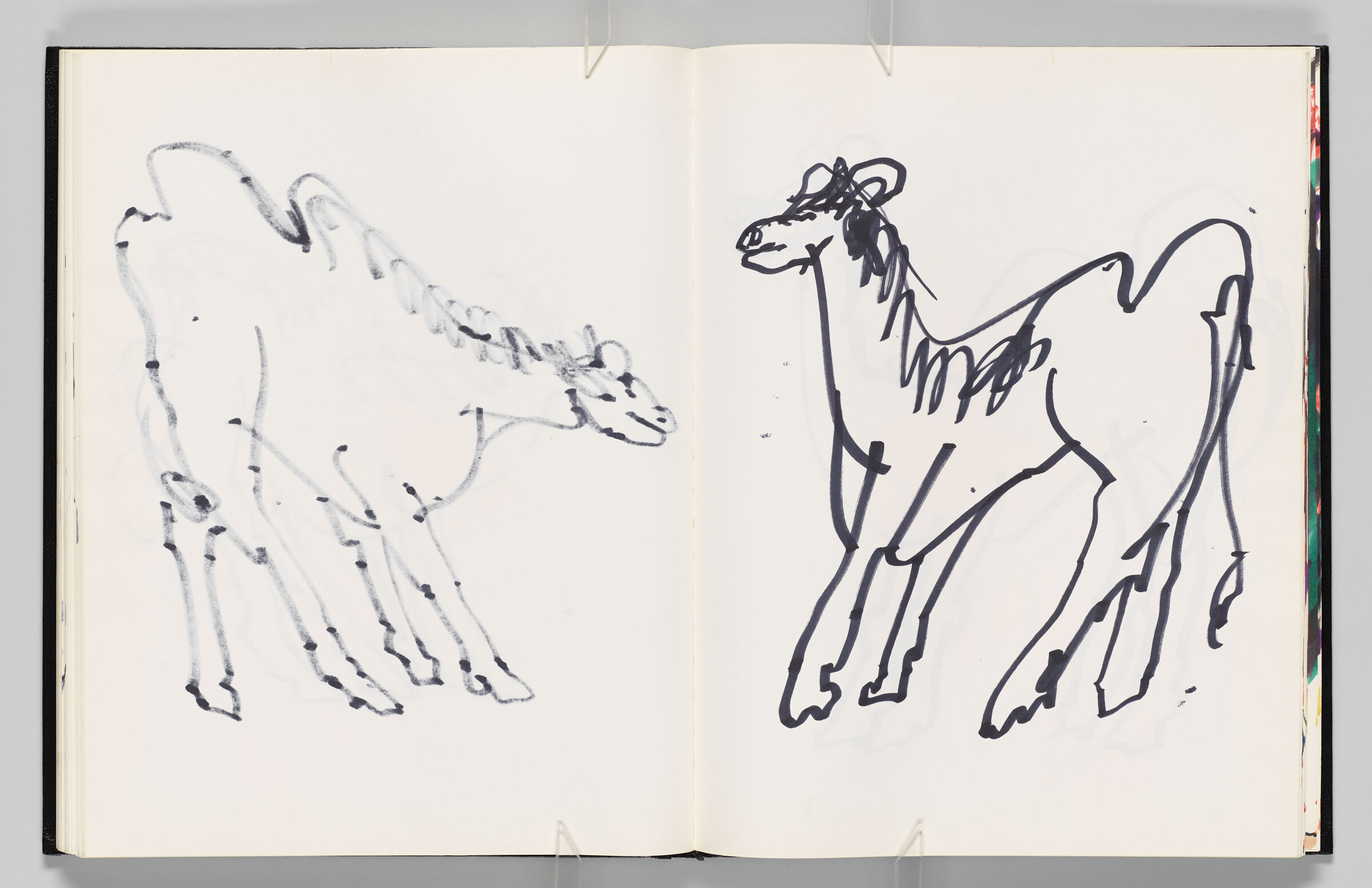 Untitled (Bleed-Through Of Previous Page, Left Page); Untitled (Camel, Right Page)