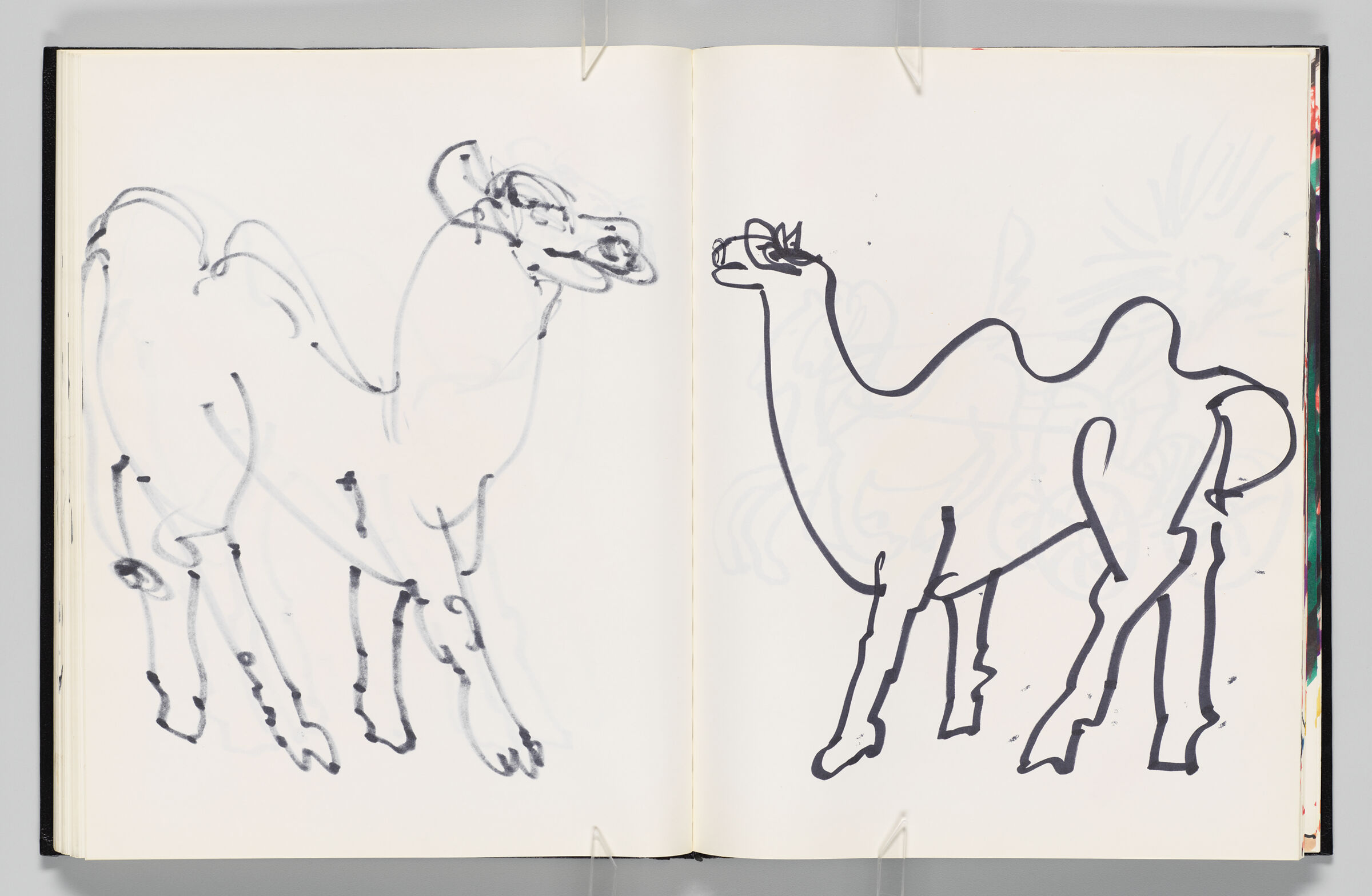 Untitled (Bleed-Through Of Previous Page, Left Page); Untitled (Camel, Right Page)