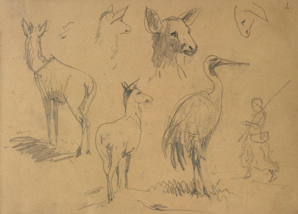Bird; Animals; Figure; Verso: Studies Of A Goat