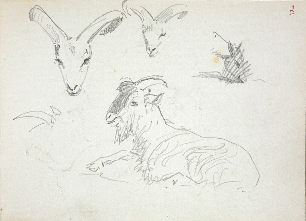 Studies Of Goats; Verso: Studies Of Deer