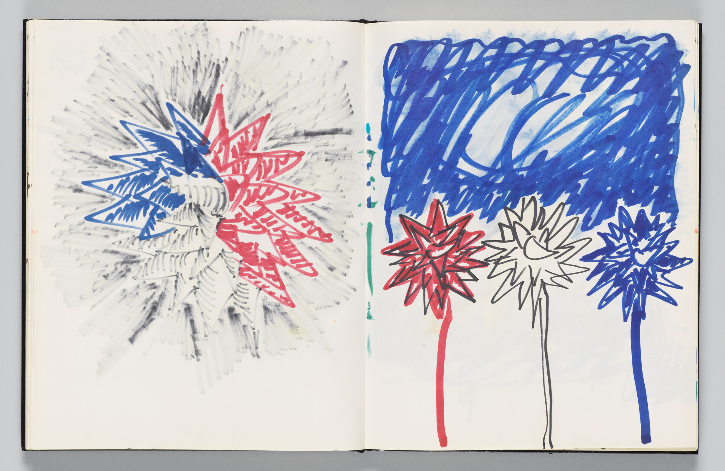 Untitled (Bleed-Through Of Previous Page, Left Page); Untitled (Red, White, And Blue Star Inflatables, Right Page)