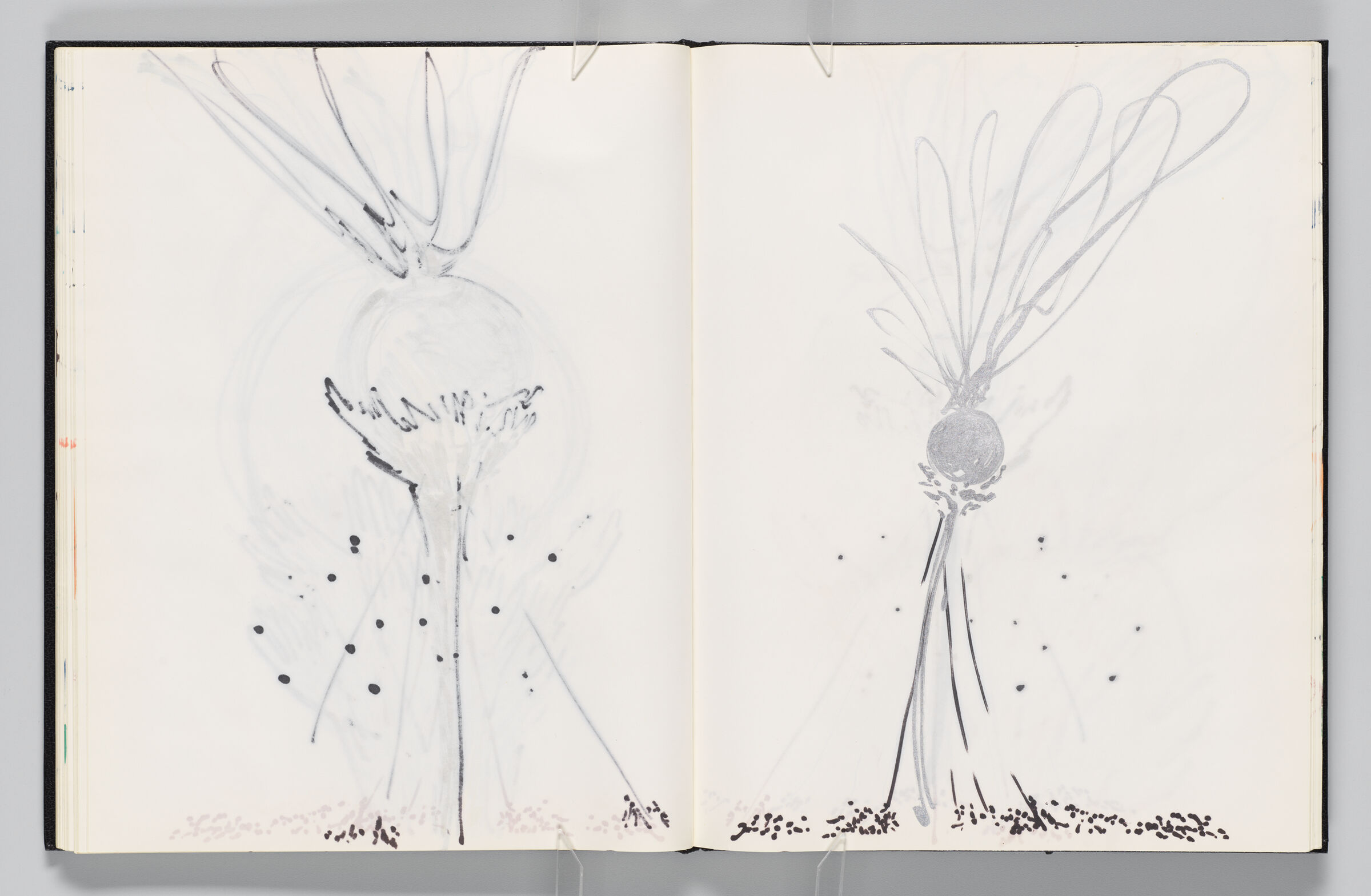Untitled (Bleed-Through Of Previous Page, Left Page); Untitled (Hands Holding Globe With Crowd Below, Right Page)