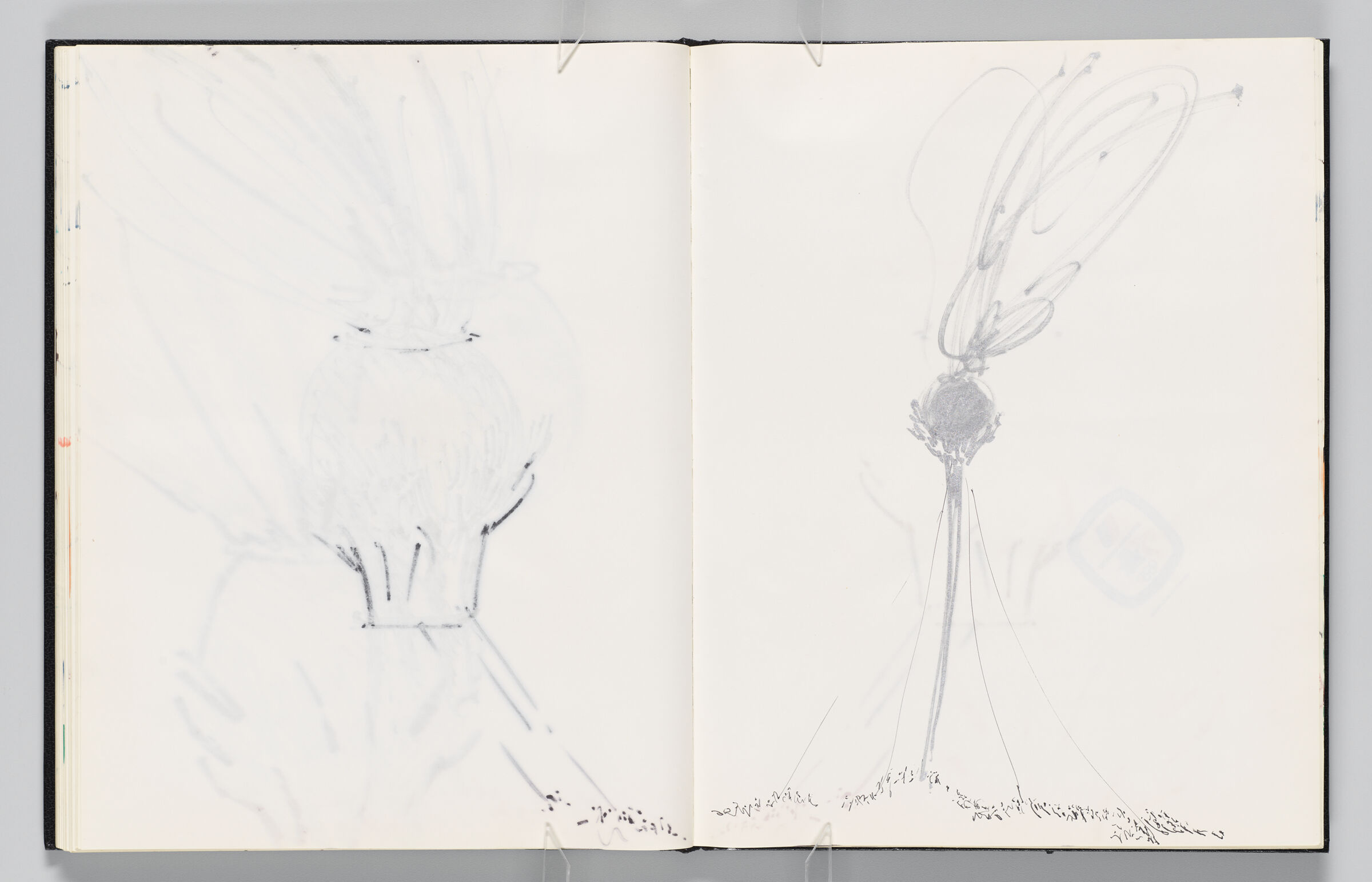 Untitled (Bleed-Through Of Previous Page, Left Page); Untitled (Hands Holding Globe With Crowd Below, Right Page)