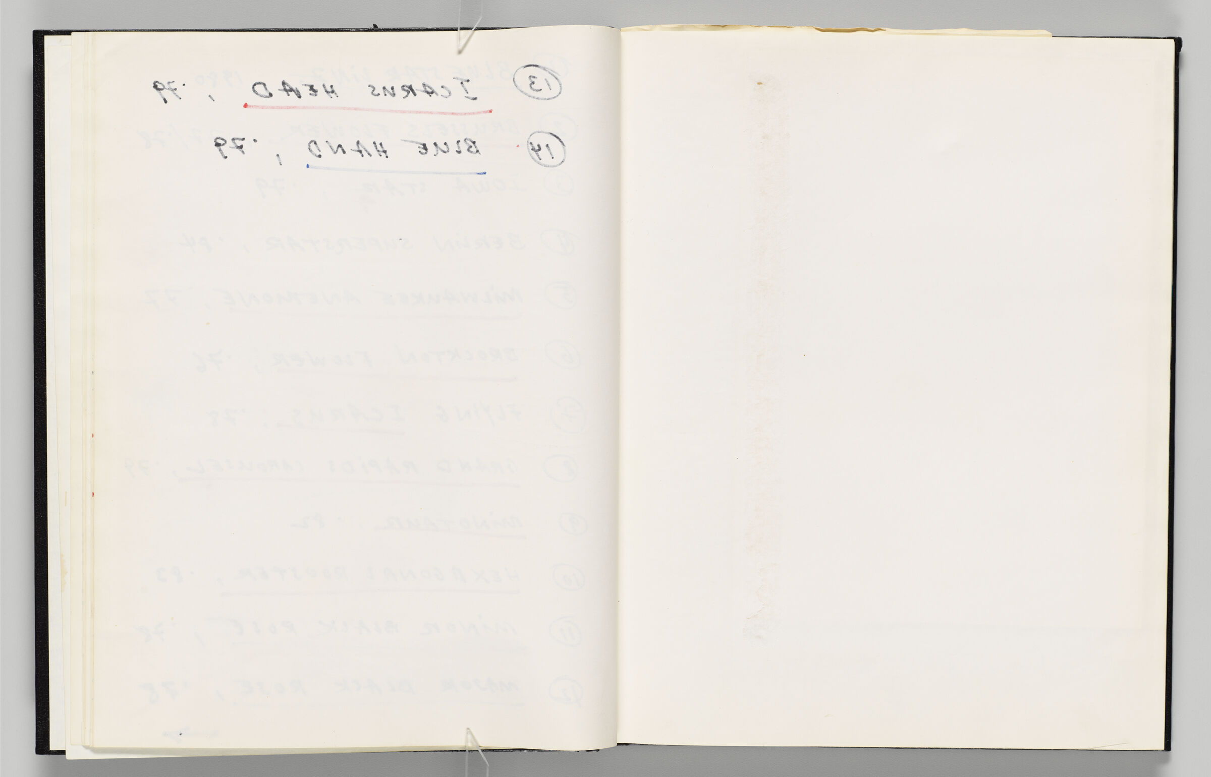 Untitled (Bleed-Through Of Previous Page, Left Page); Untitled (Blank, Right Page)