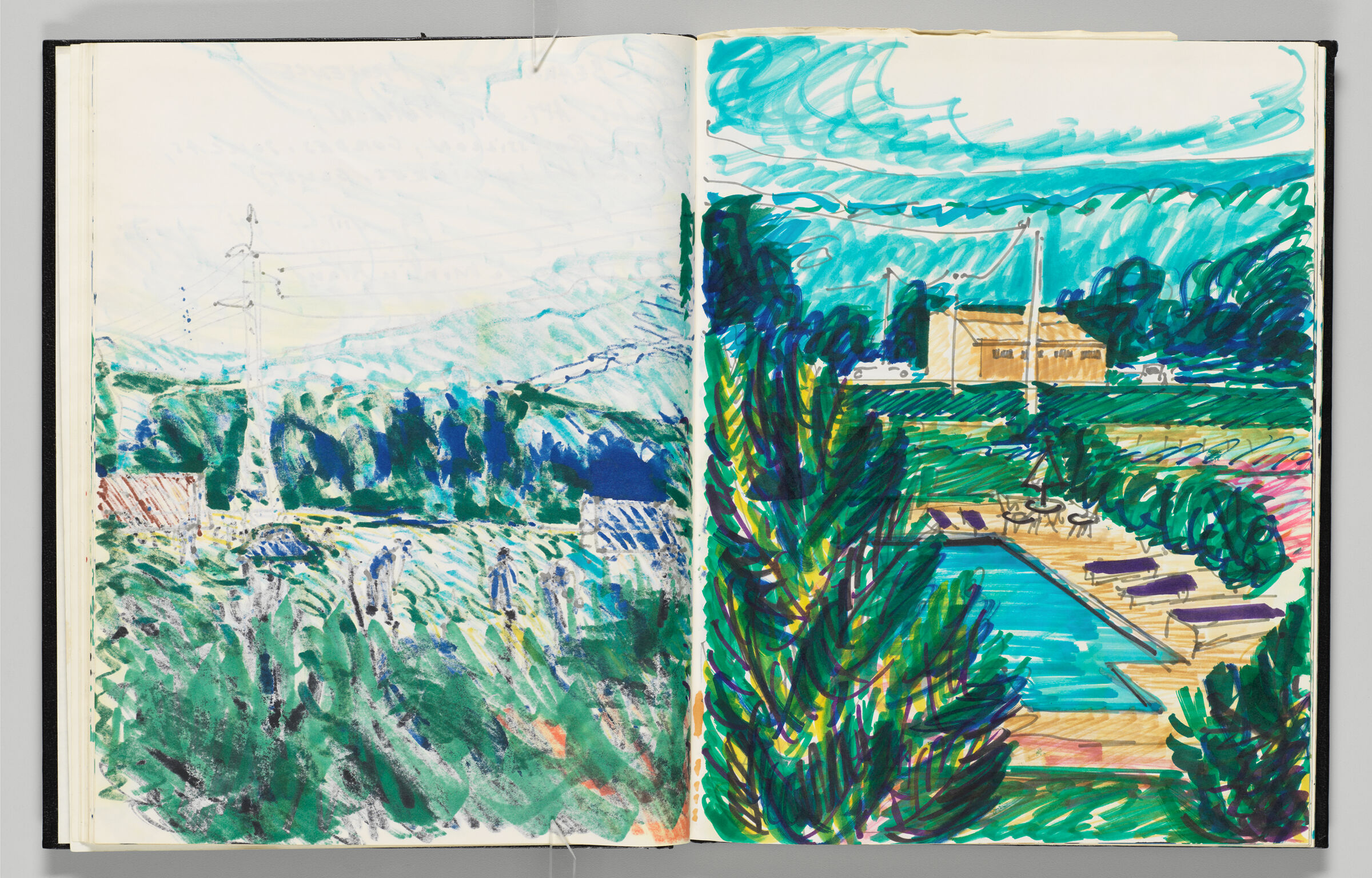 Untitled (Bleed-Through Of Previous Page, Left Page); Untitled (Pool Amidst Landscape, Right Page)