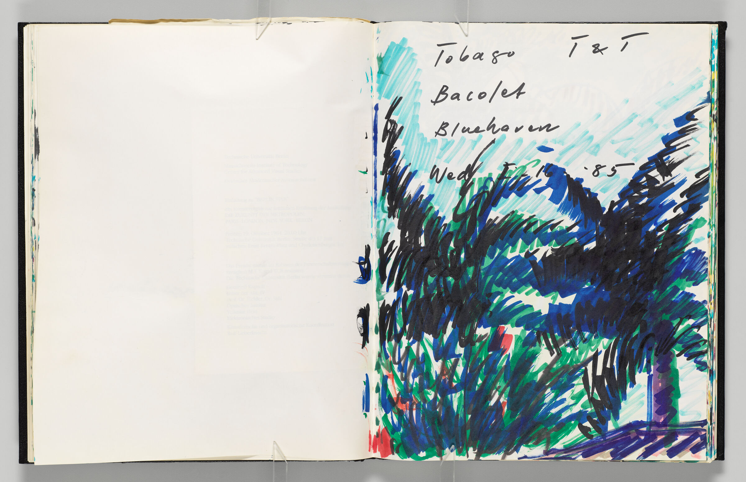 Untitled (Blank, Left Page); Untitled (Tobago Landscape, Right Page)