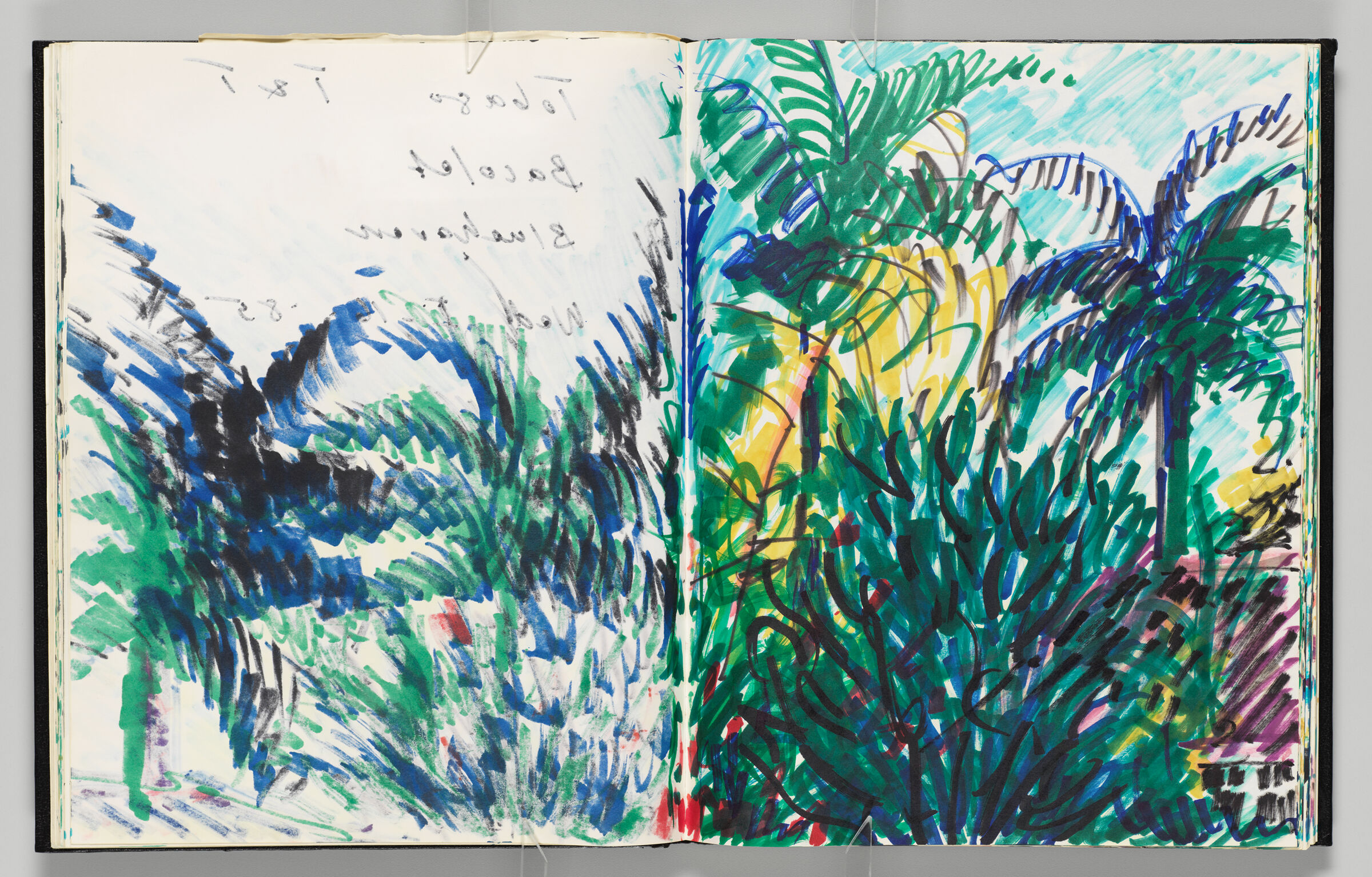 Untitled (Bleed-Through Of Previous Page, Left Page); Untitled (Tobago Landscape, Right Page)