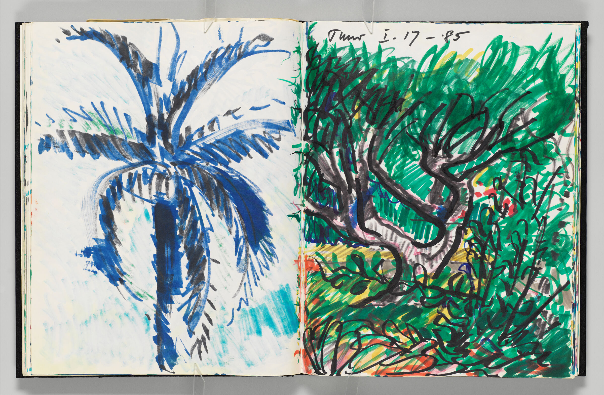 Untitled (Bleed-Through Of Previous Page, Left Page); Untitled (Tobago Landscape, Right Page)