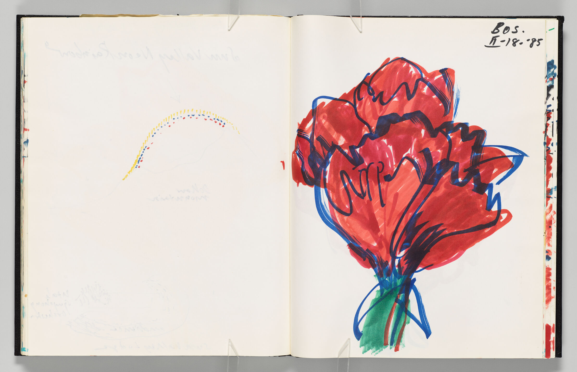 Untitled (Bleed-Through Of Previous Page, Left Page); Untitled (Amaryllis Bouquet, Right Page)